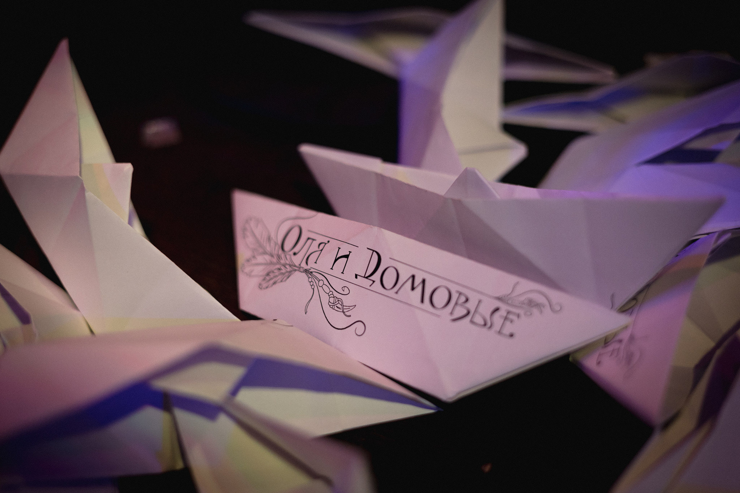 ОЛЯ И ДОМОВЫЕ