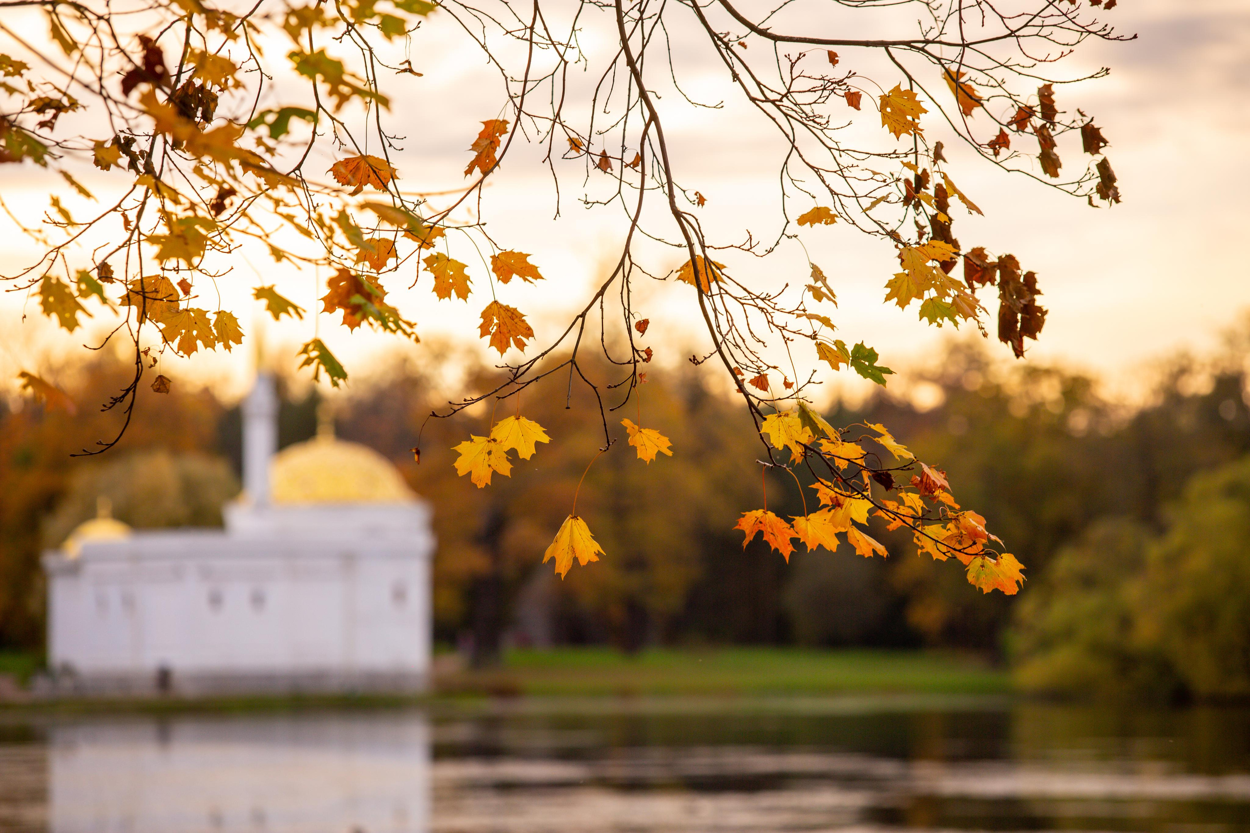 Пушкин (Царское Село)
