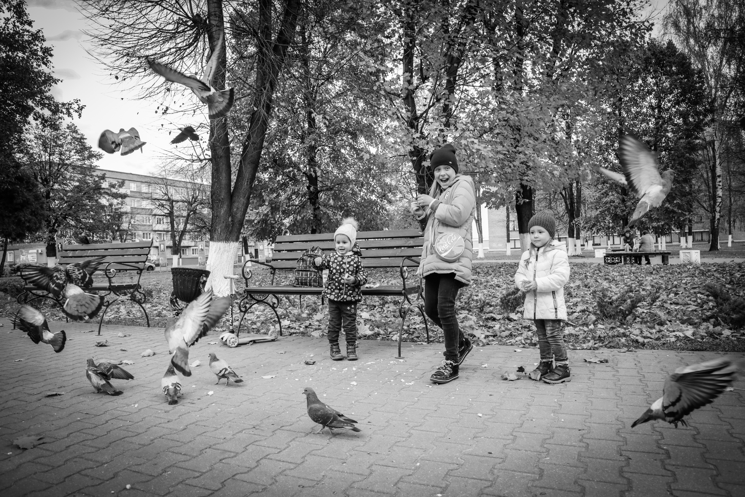 Улицы города Z