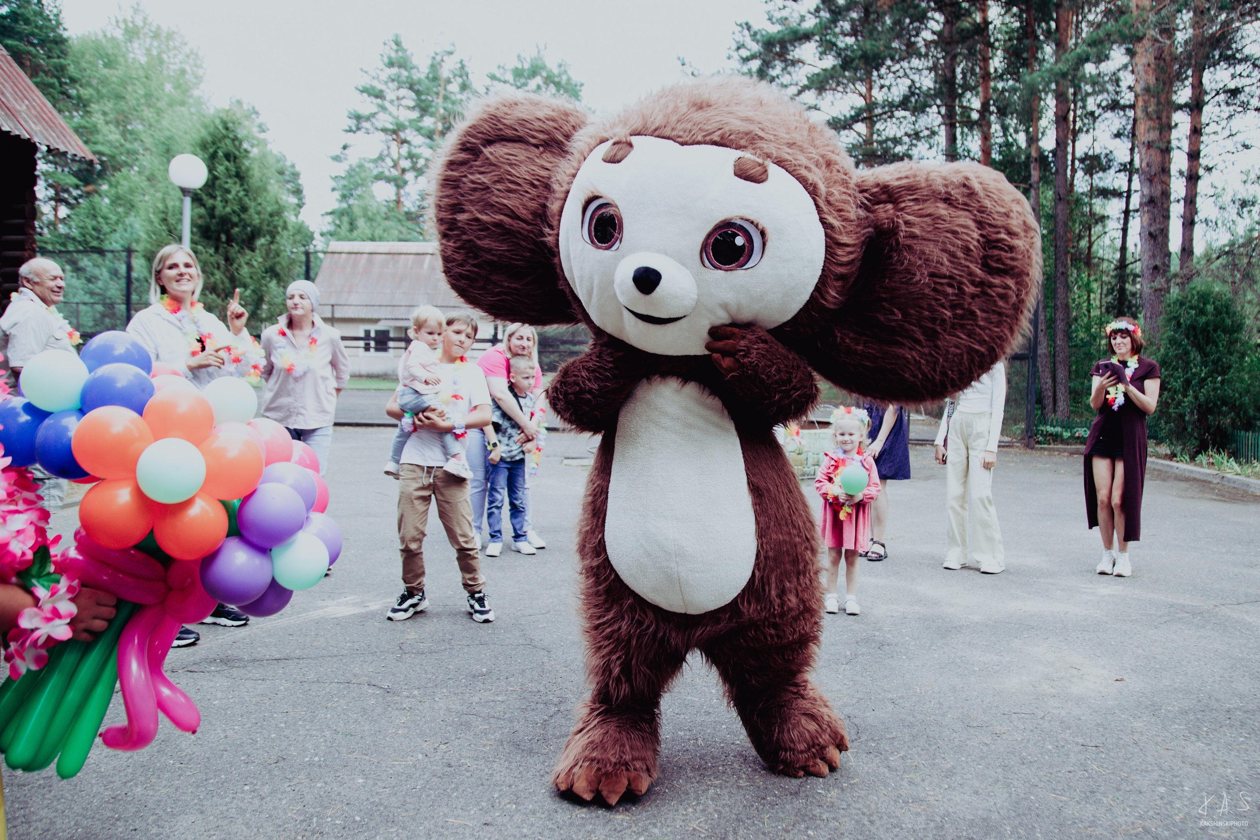 День рождения Софии