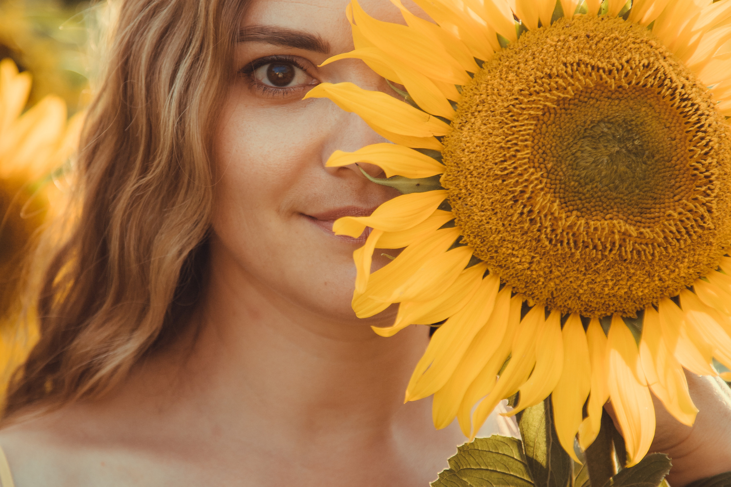 Подсолнухи