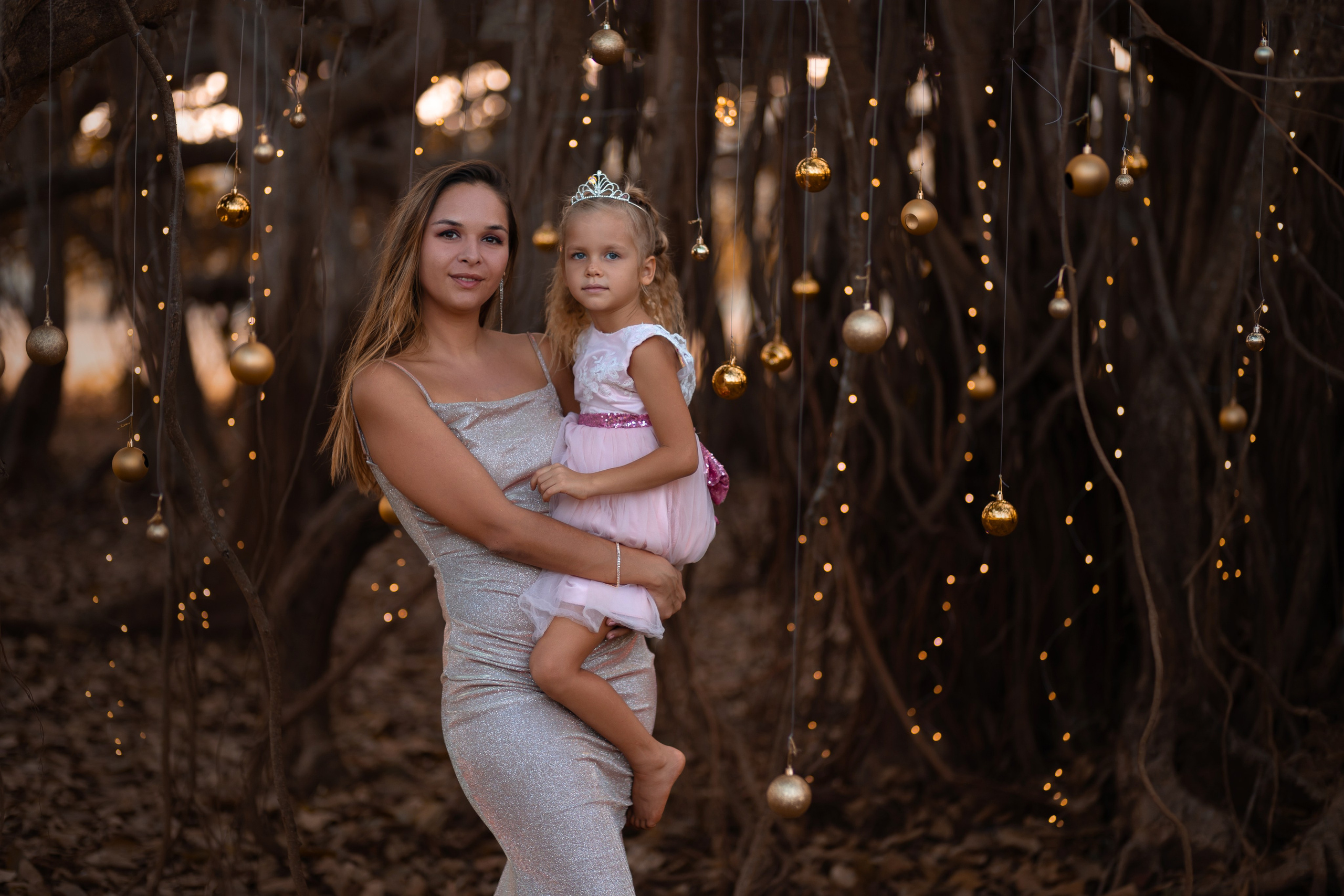 Christmas photo session on Banyan