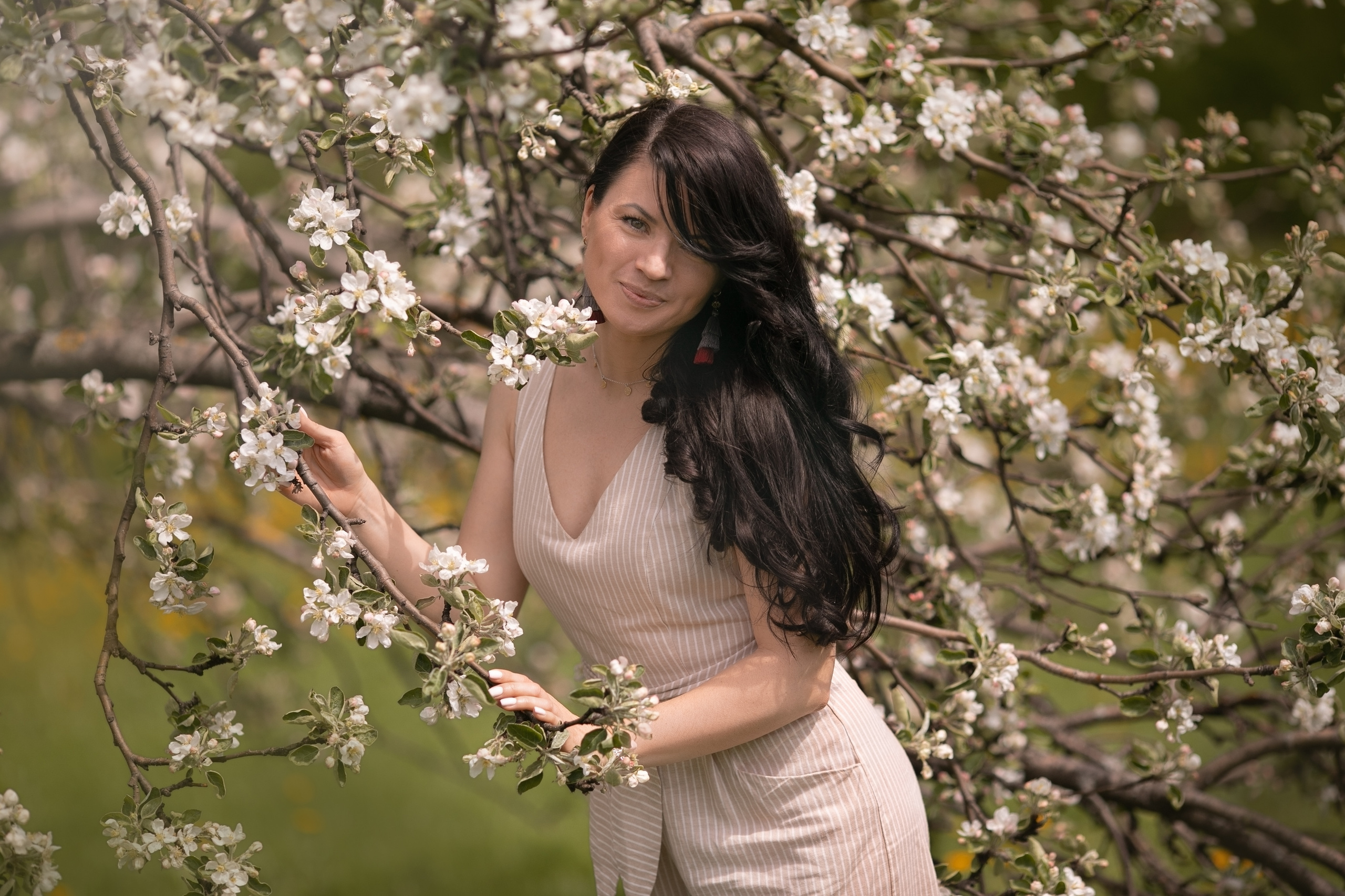 Цветения в парке Коломенское