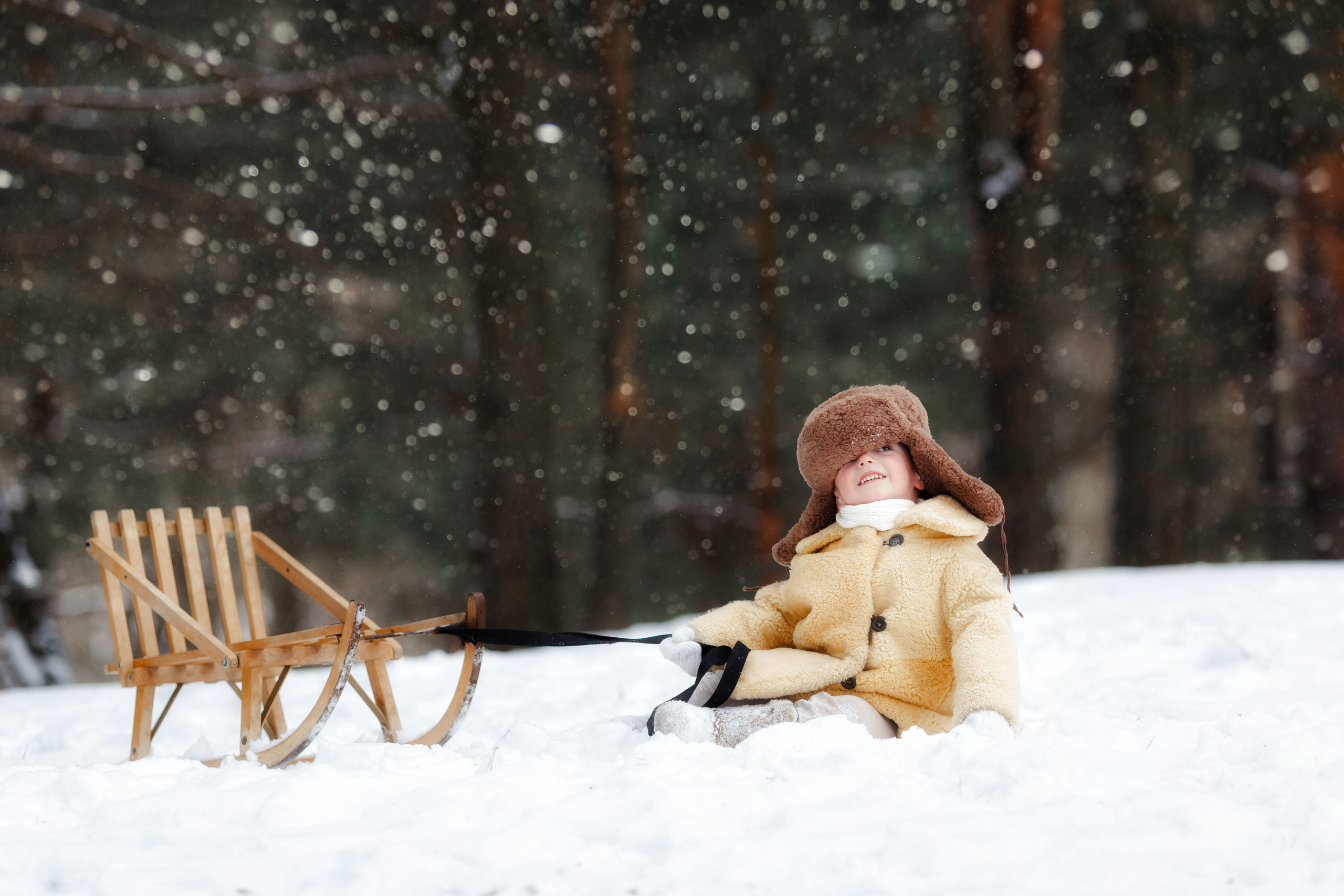 Янчик и его санки