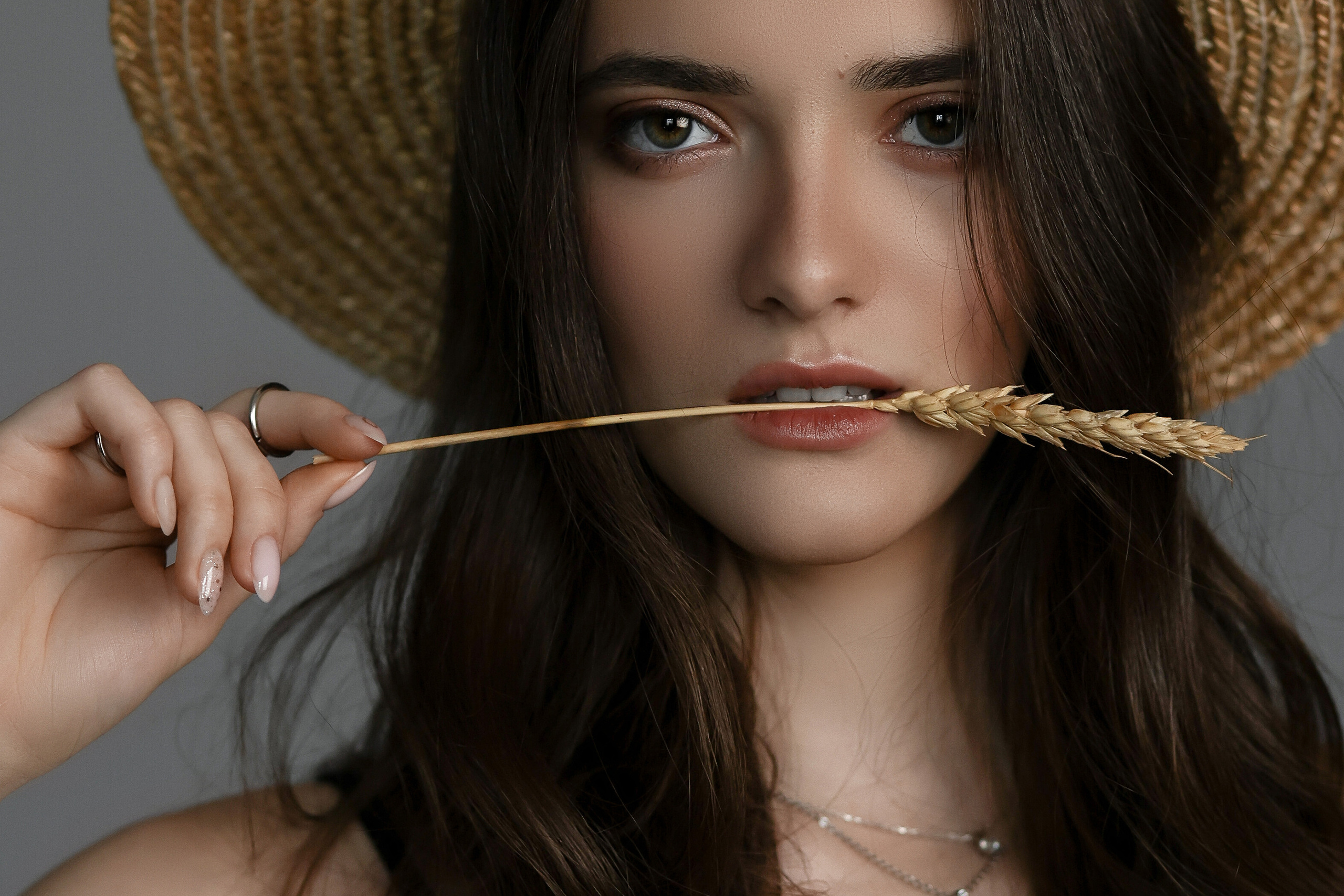 На сером фоне