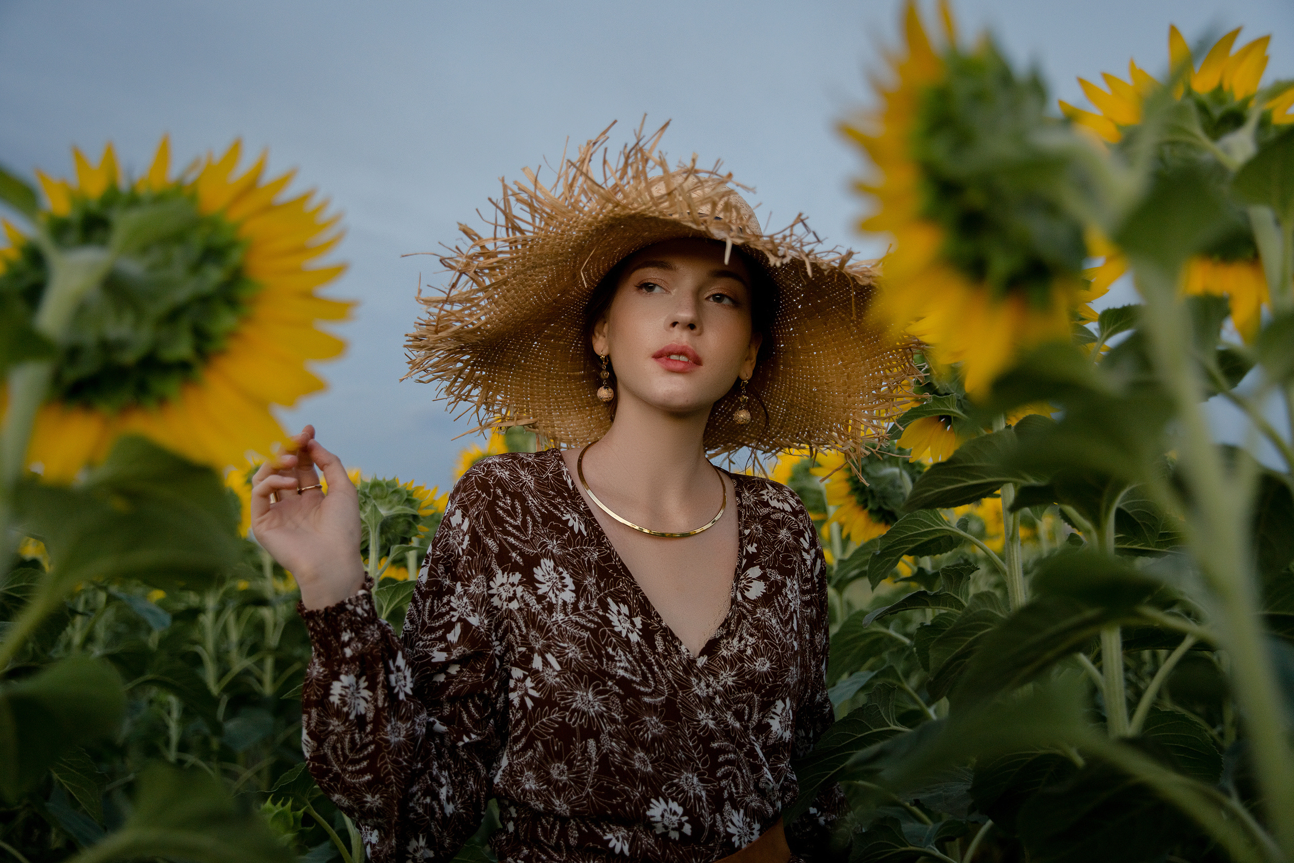 Солнечное настроение