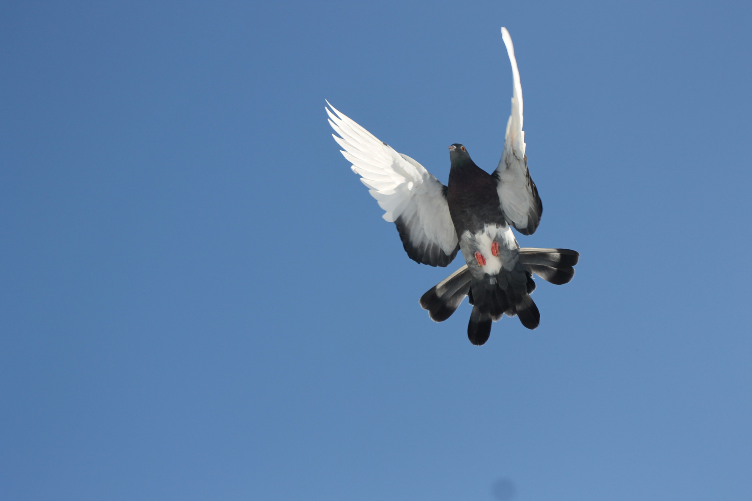 фото архив по&nbsp;2023 год