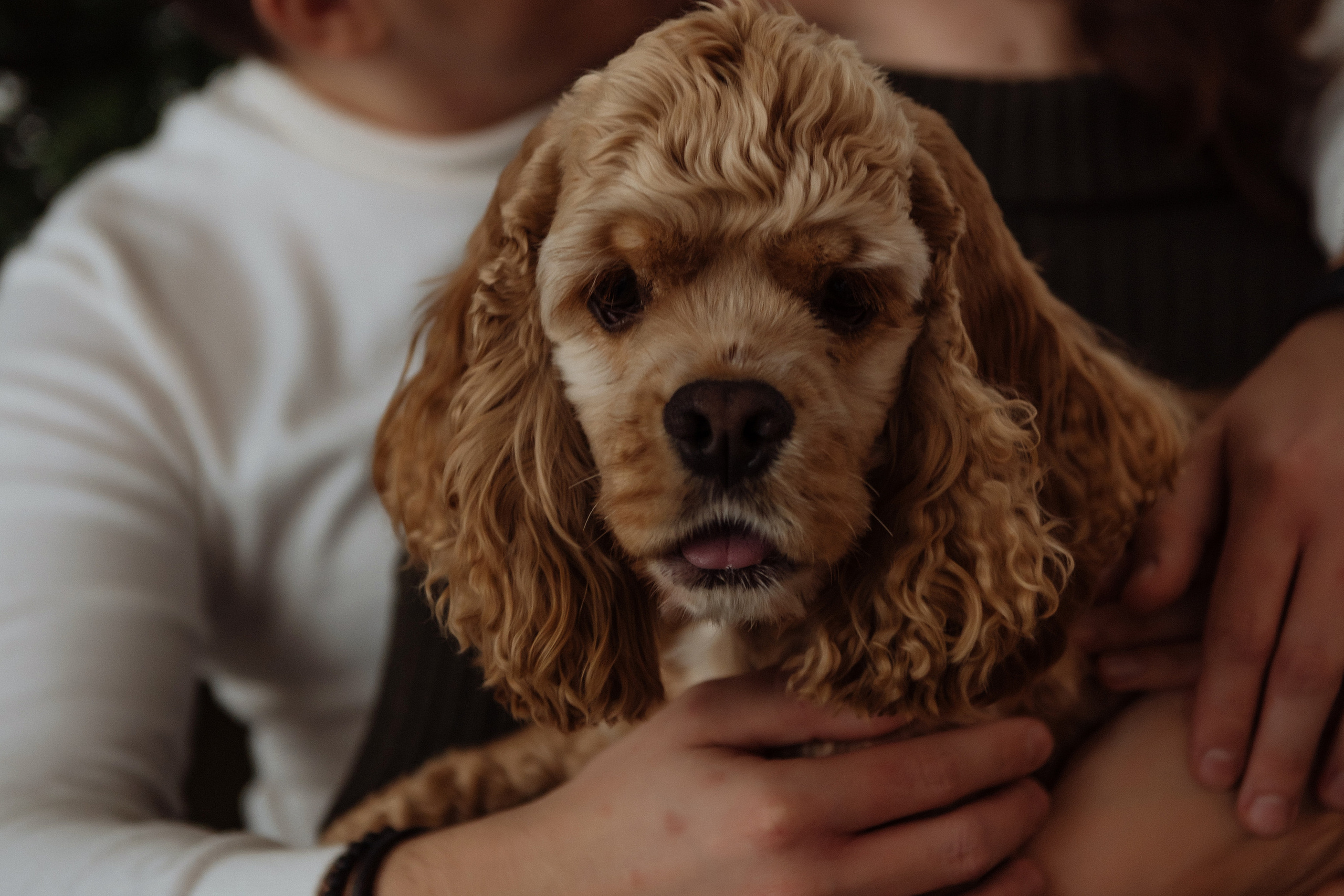 Дарьяна, Рома и Бильбо