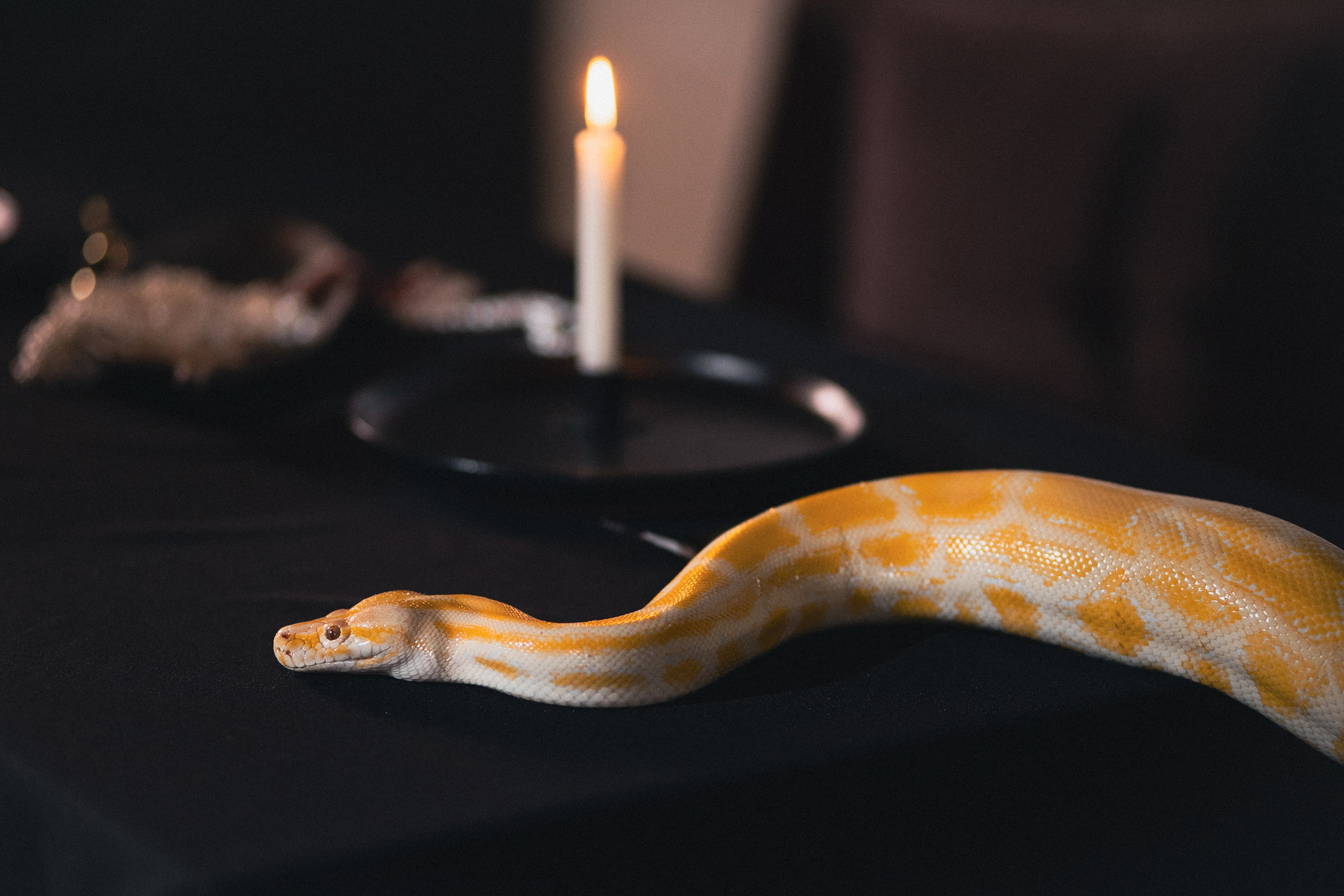 Андрей и Александра