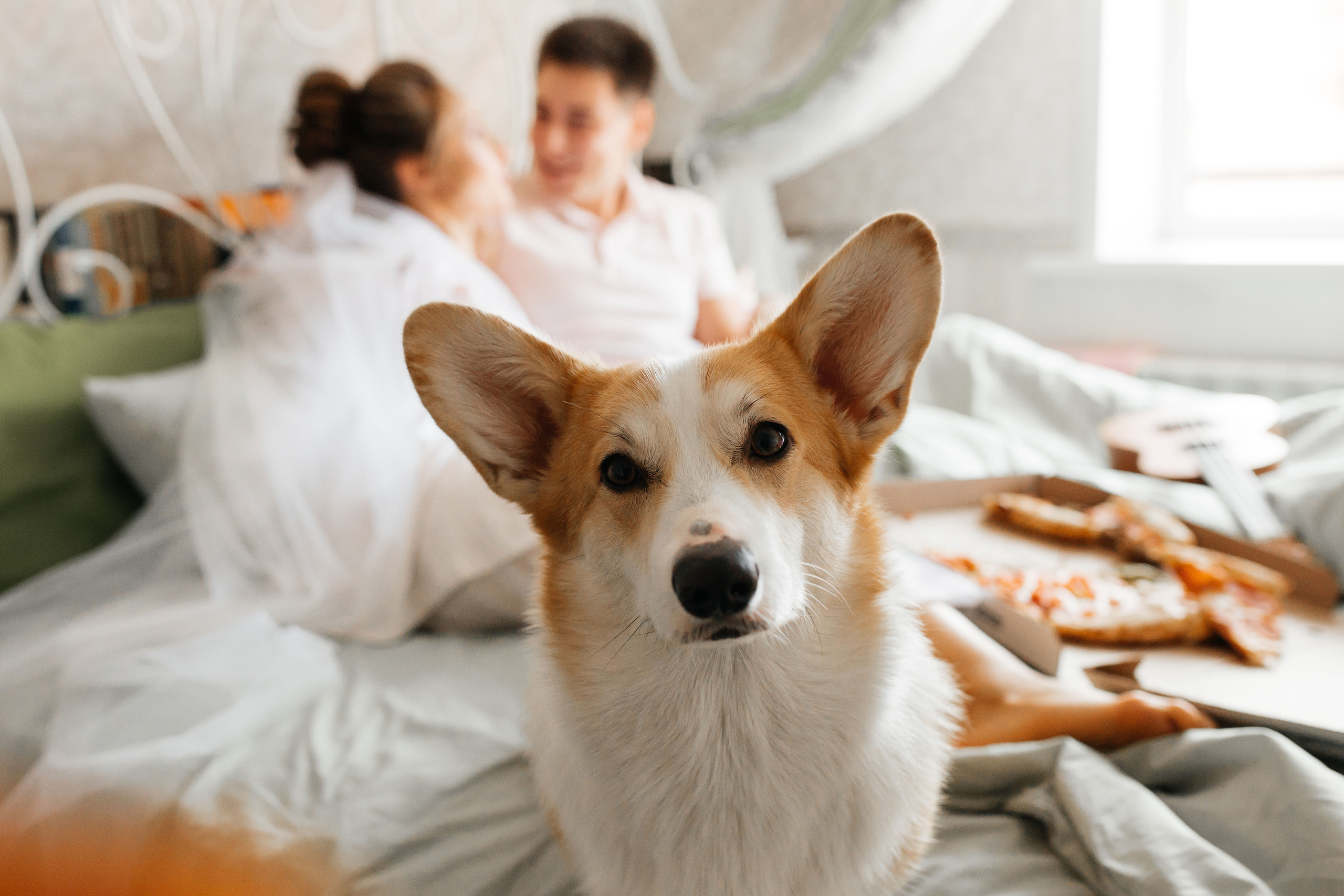 Свадебная история Егора и Виктории.