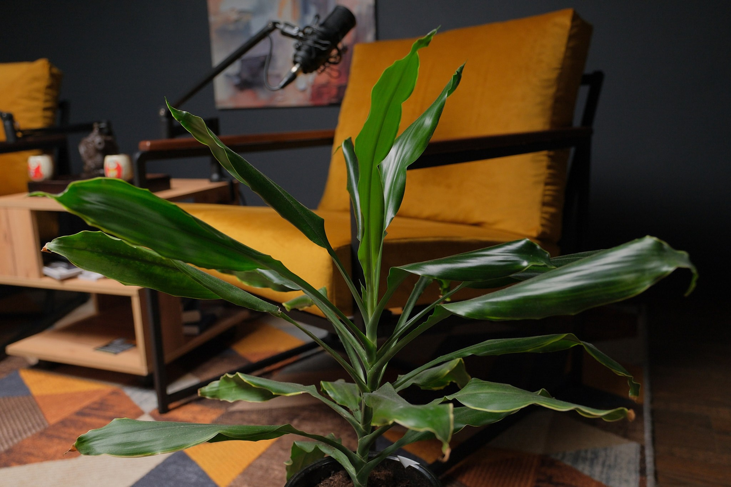 Видеосъемка для экспертов Москва Зеленоград. Glinkin Production