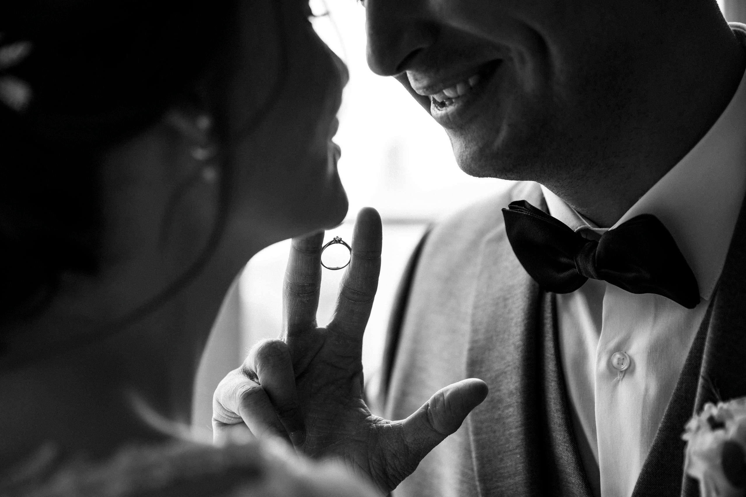 Love me tender, love me sweet