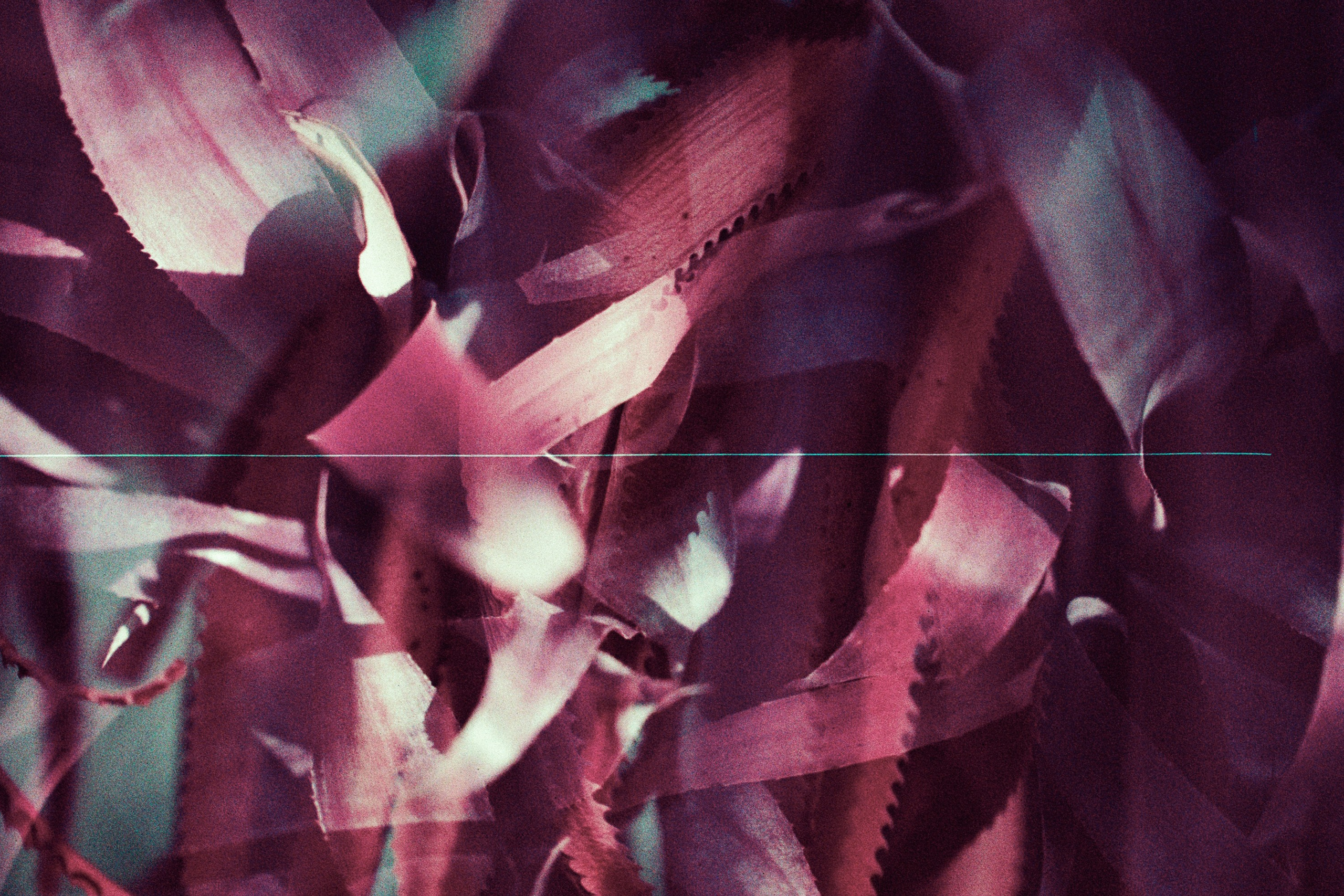 pain shopping // ukraine, crimea II