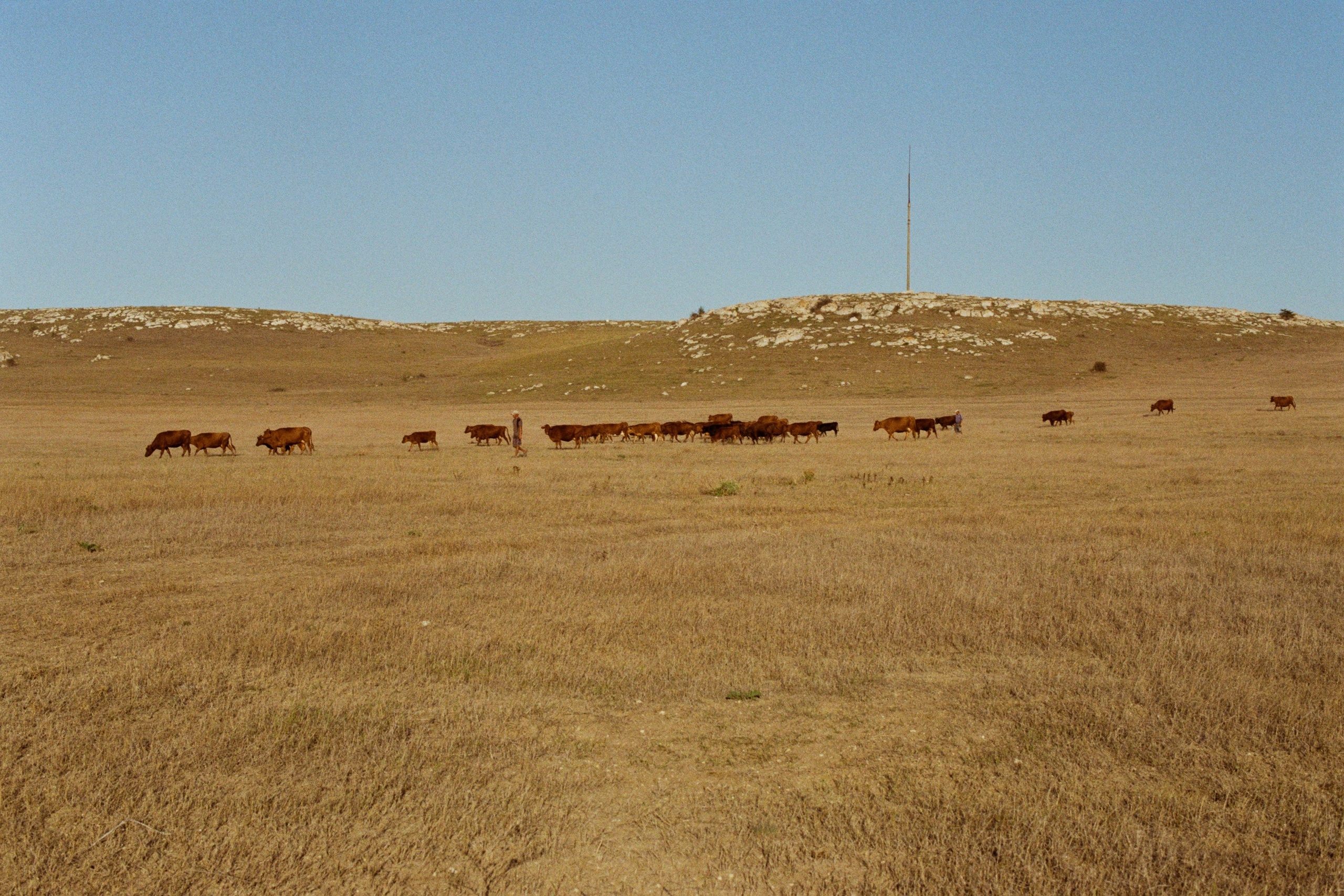 lovesong // ukraine, crimea II