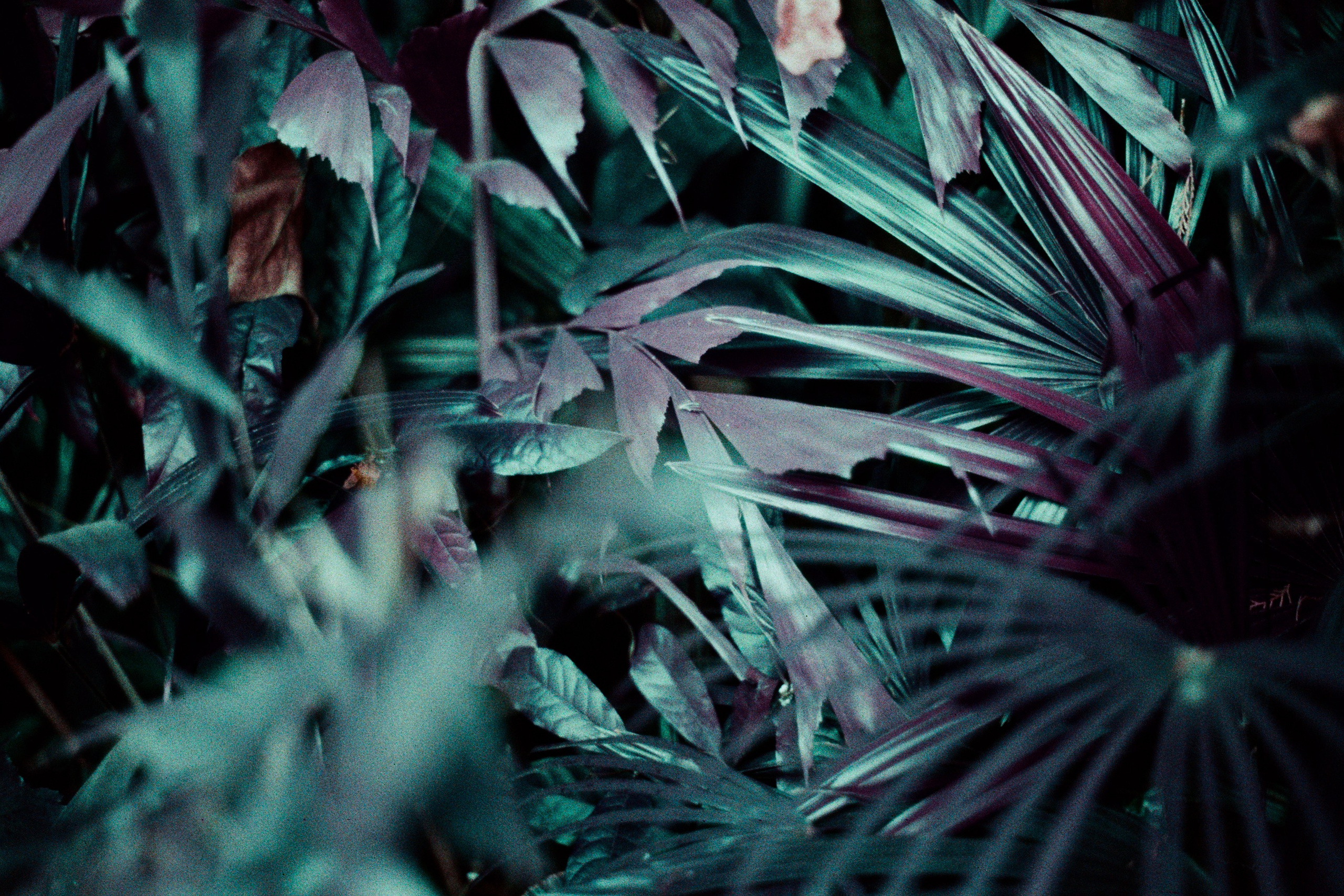 bulletproof i wish i was // hong kong IV