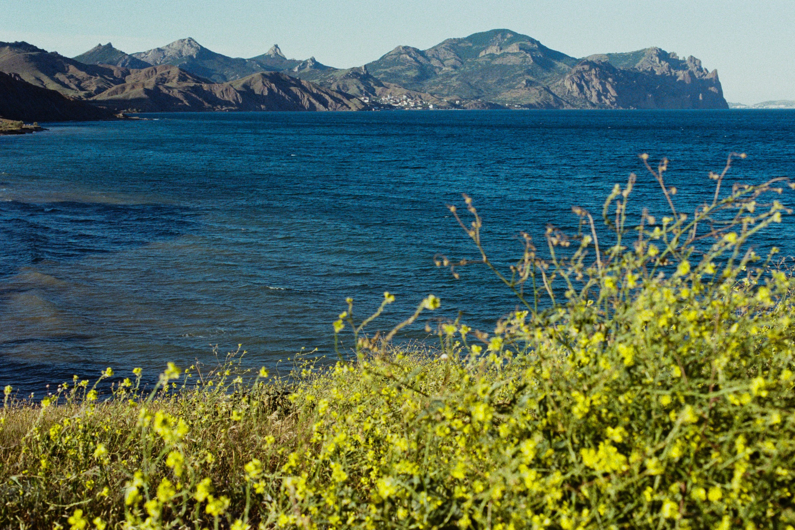kool-aid // ukraine, crimea VI