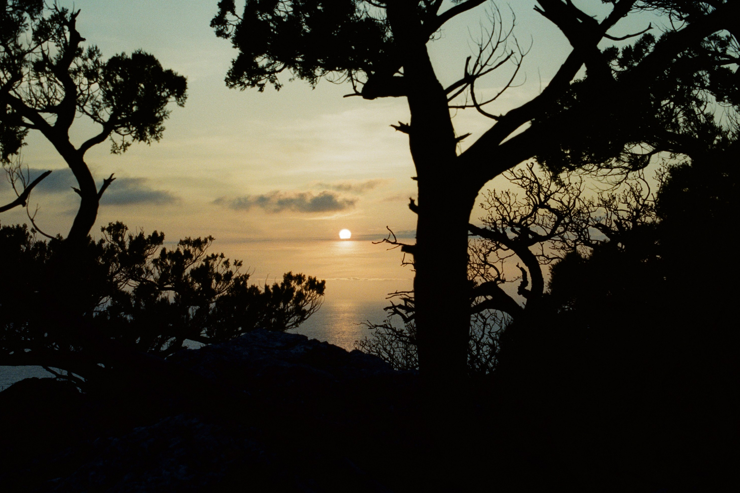 some kind of madness // ukraine, crimea II
