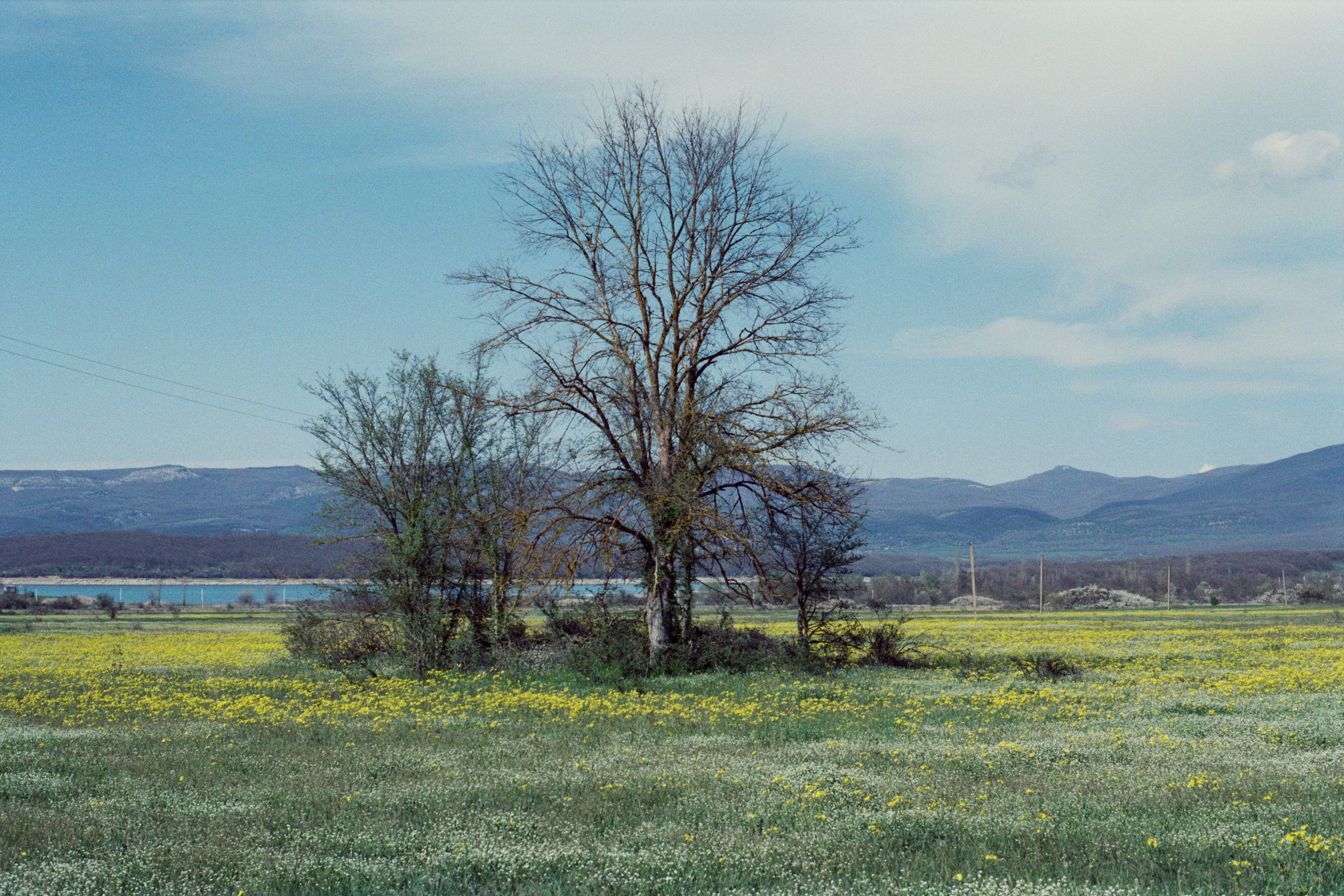 some kind of madness // ukraine, crimea III