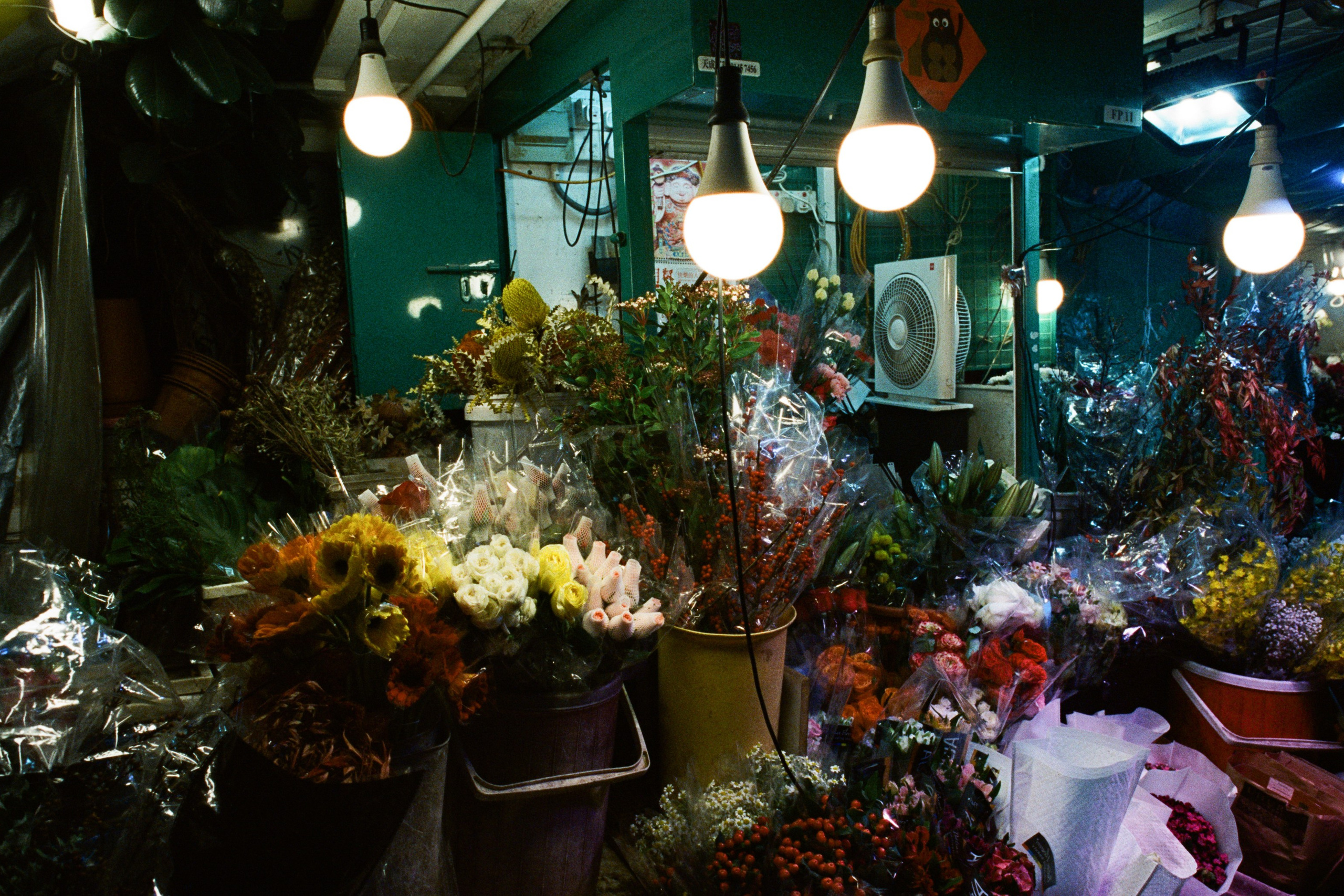 fake plastic trees // hong kong II
