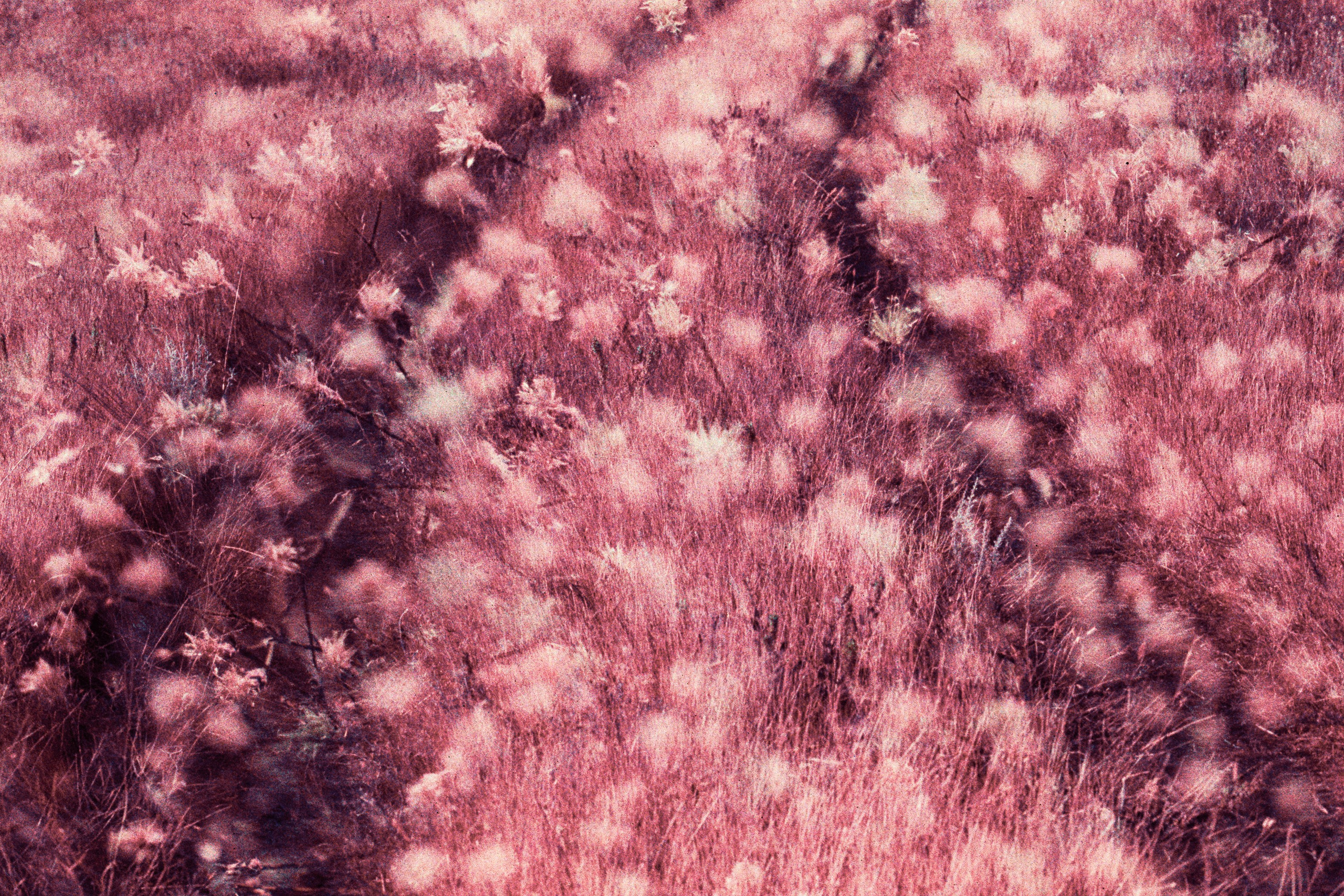 dig it // ukraine, crimea X