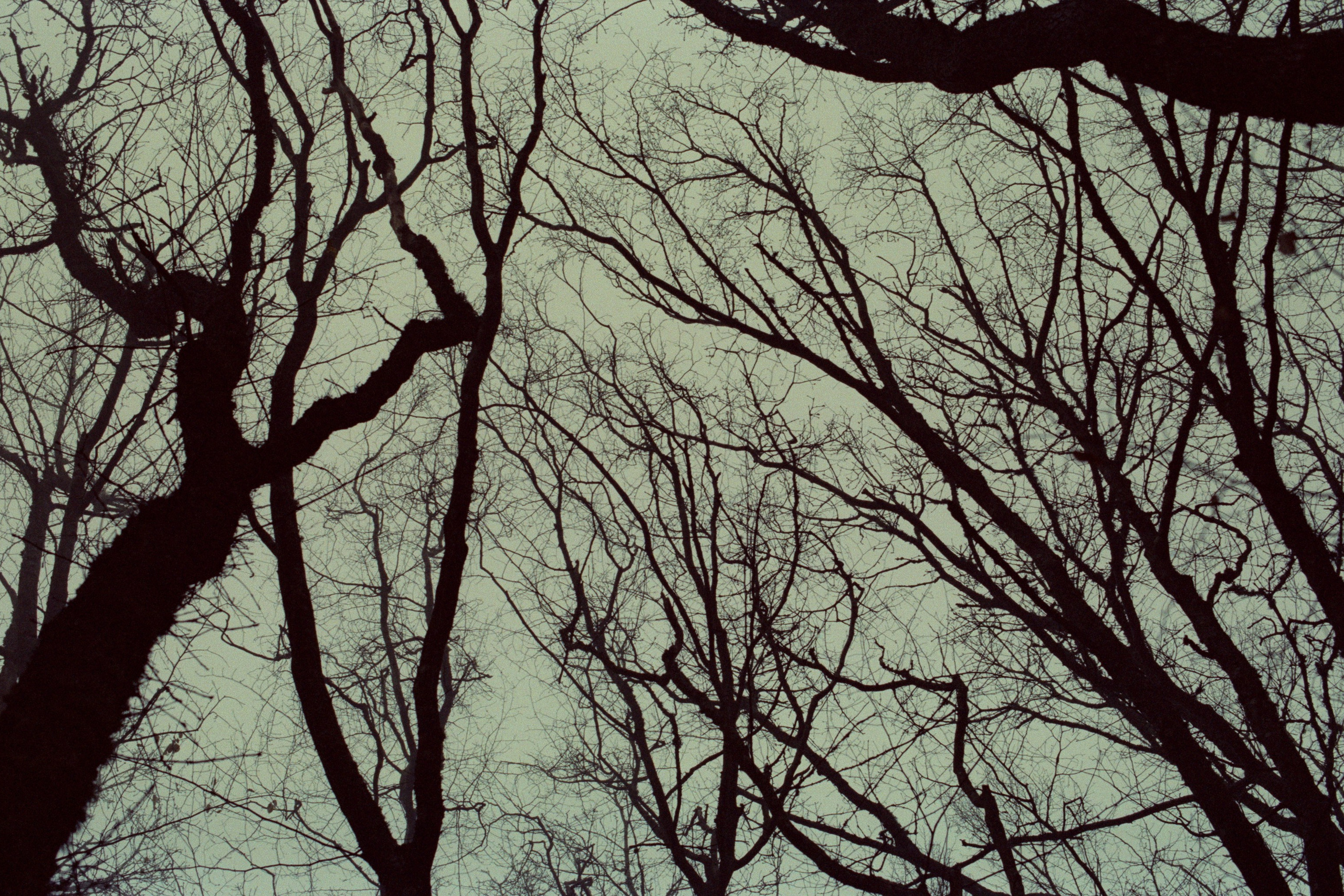 some kind of madness // ukraine, crimea