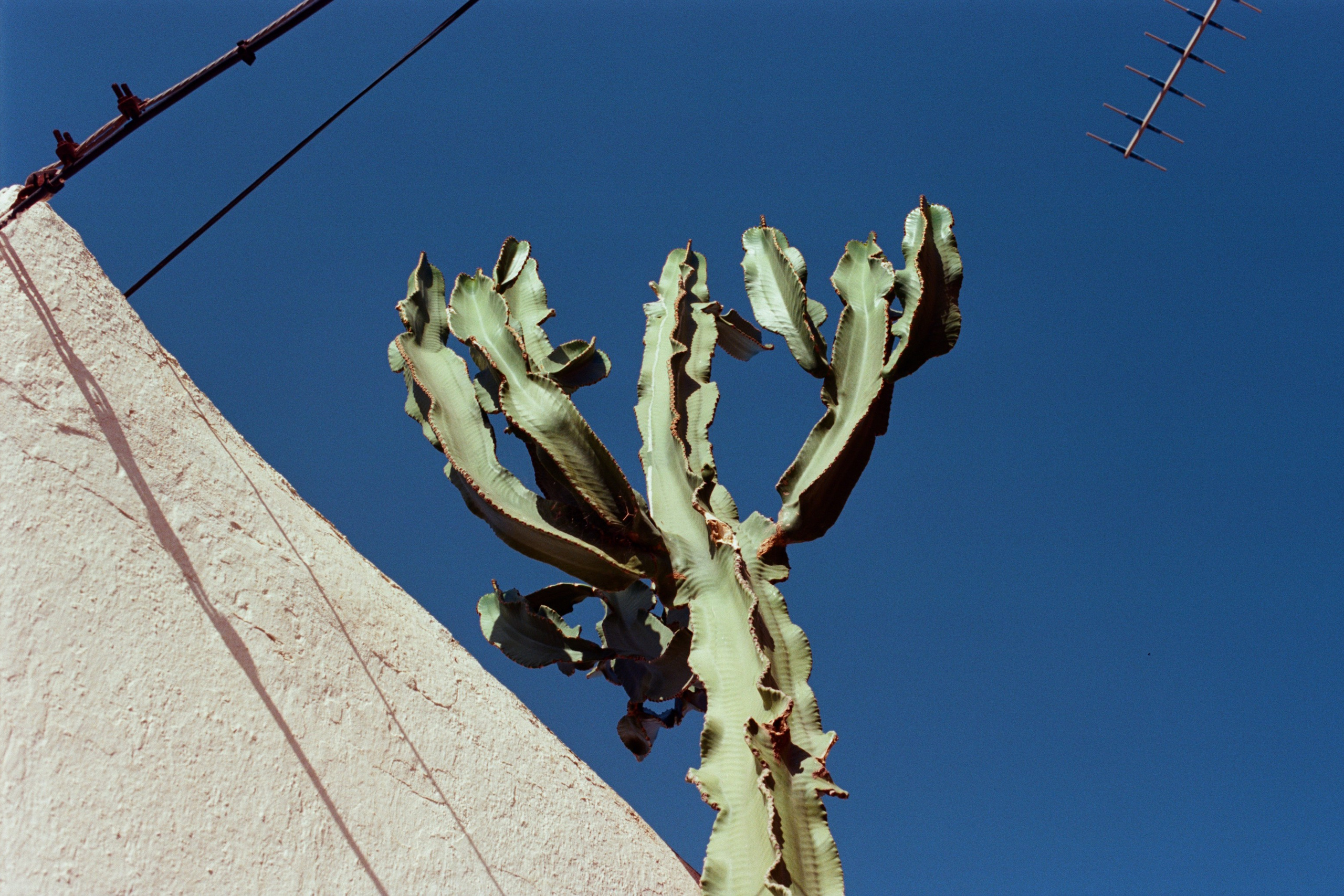 spanish sahara // spain, pozo de los frailes