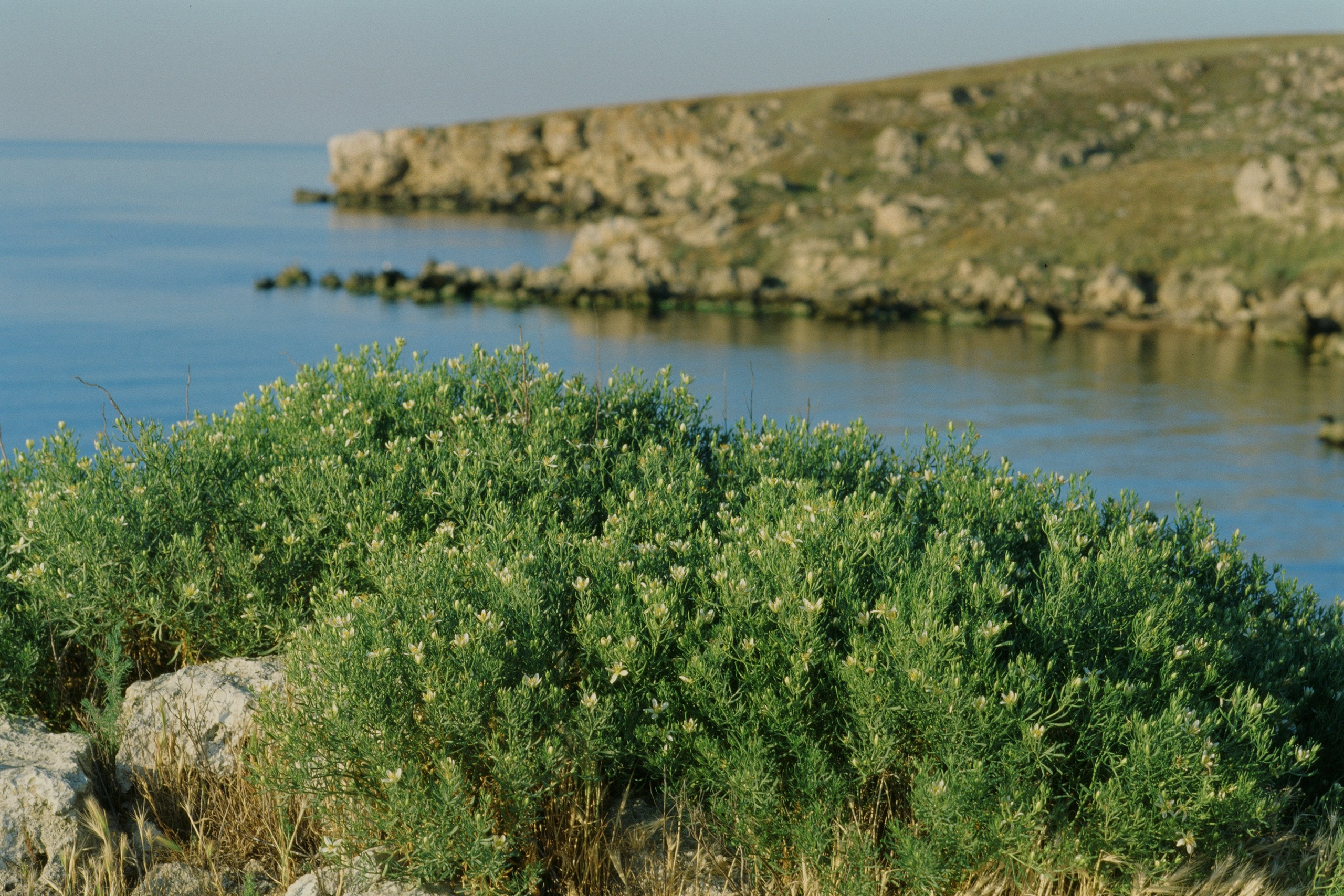 dig it // ukraine, crimea V