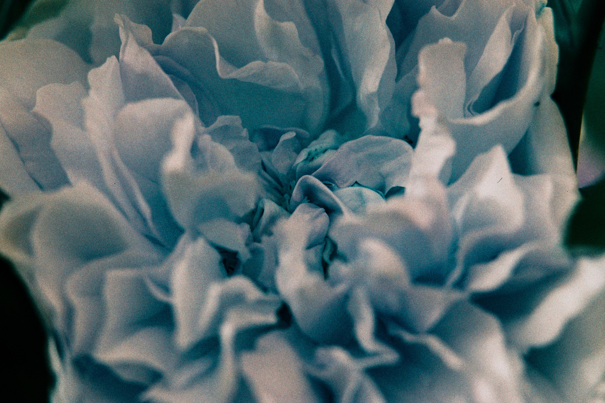 point of no reply // ukraine, crimea II