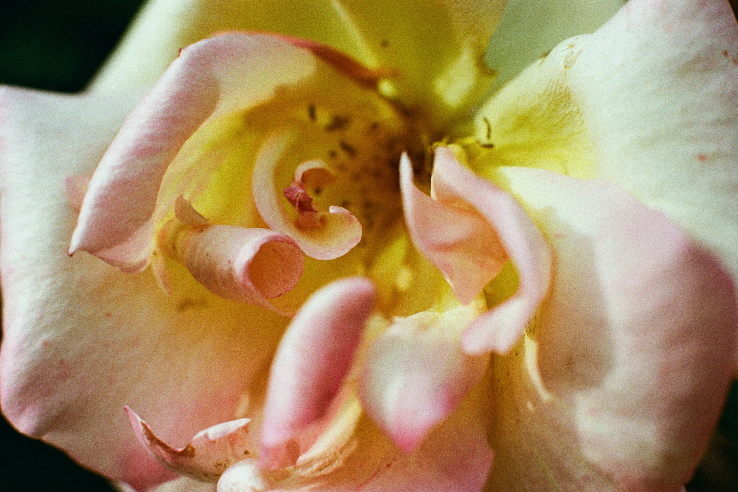 point of no reply // ukraine, crimea VI