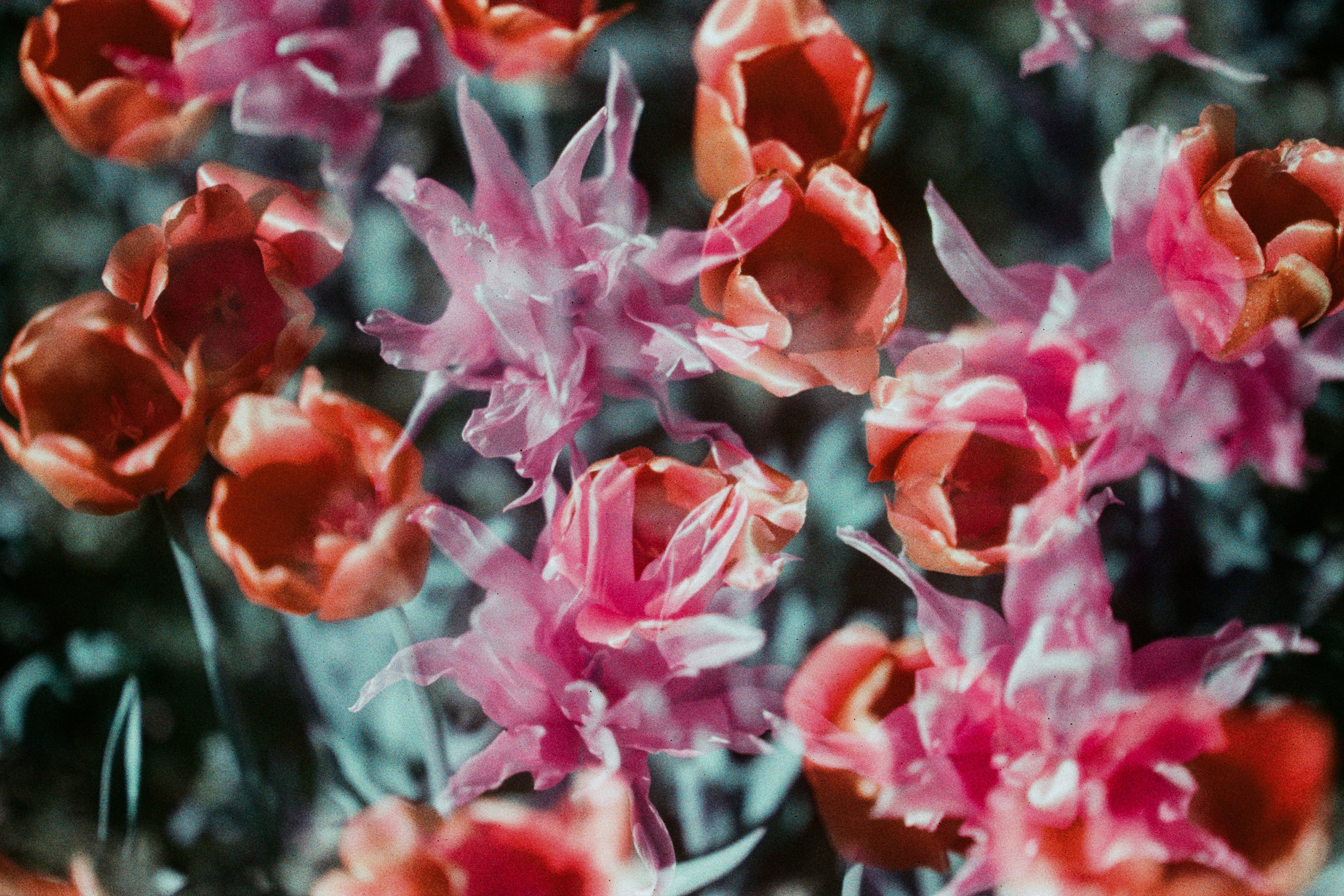 press enter to exit // ukraine, crimea VIII