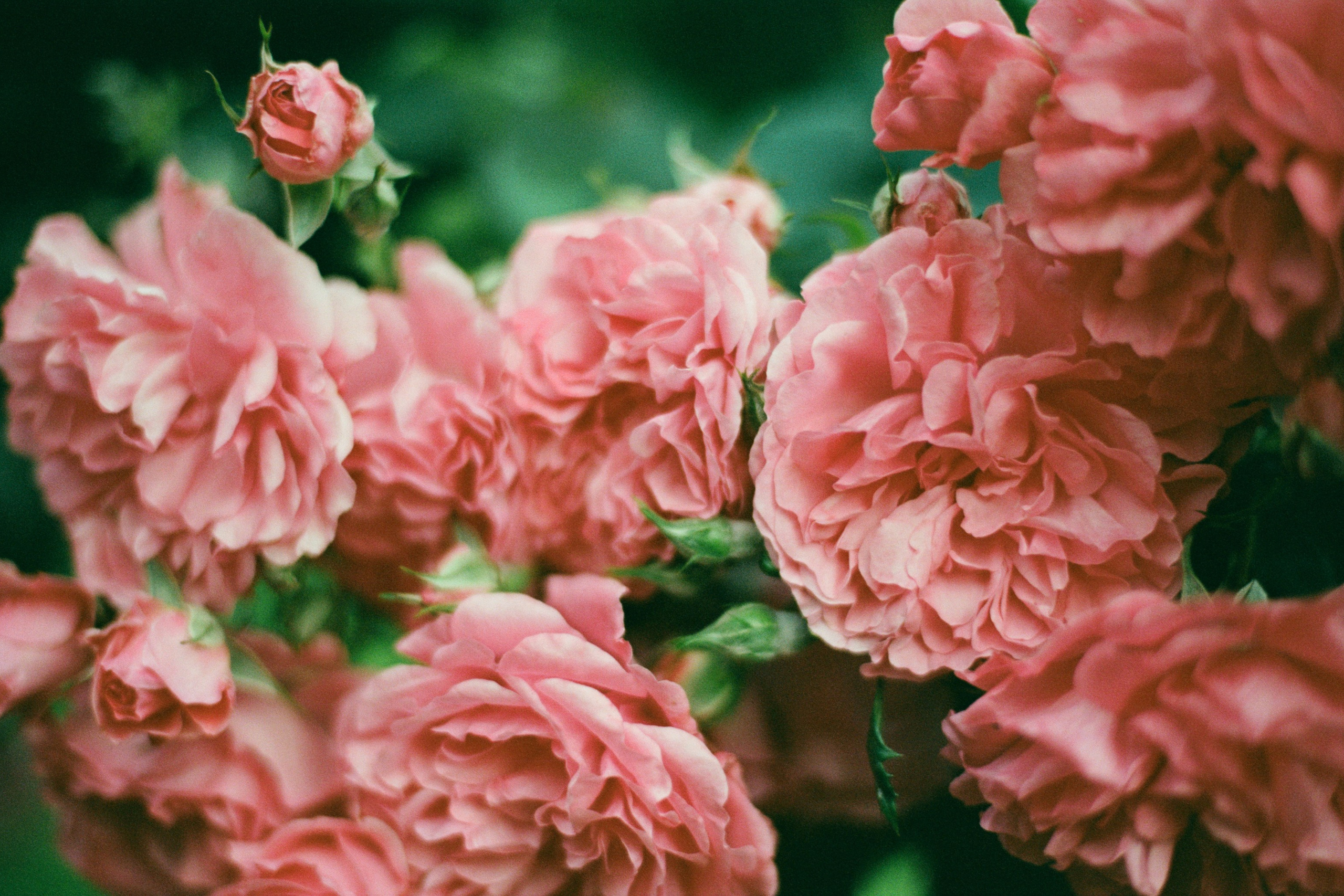 this time // ukraine, crimea V