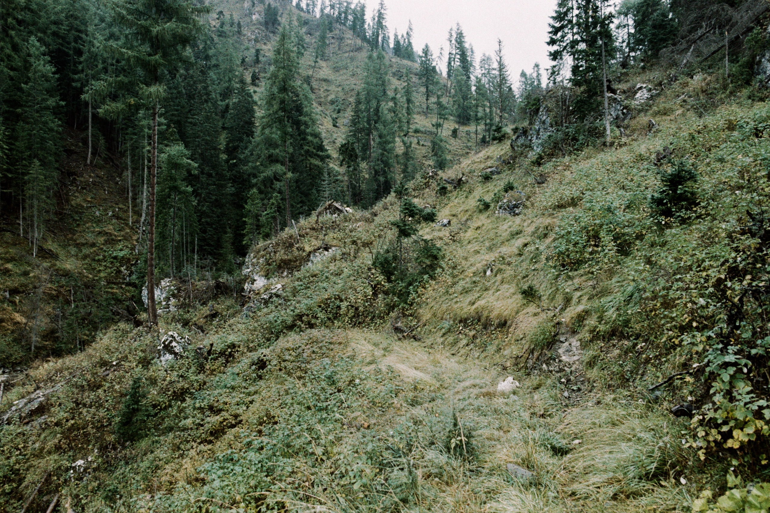 wasted // italy, dolomites II