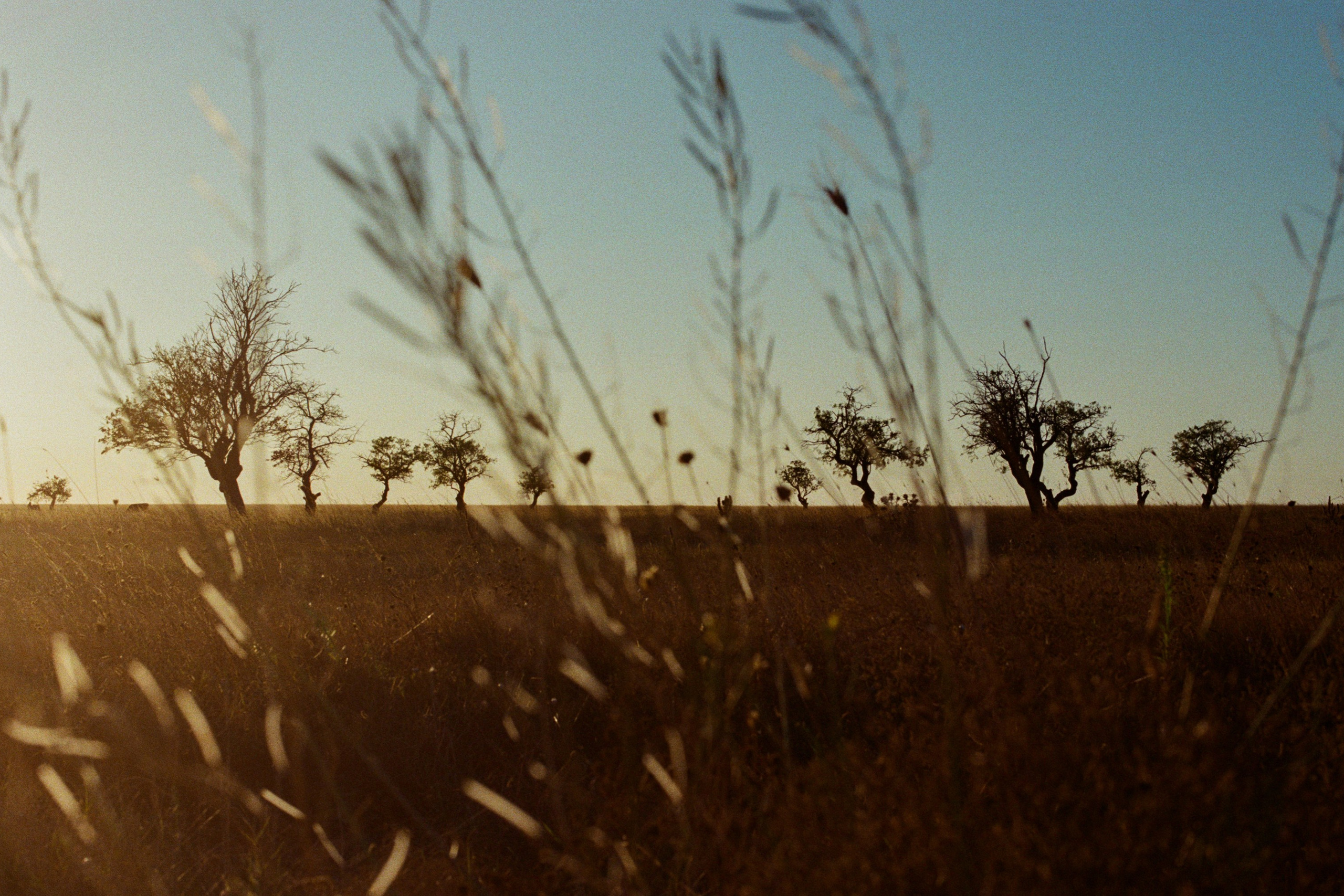 your guardian angel // ukraine, crimea