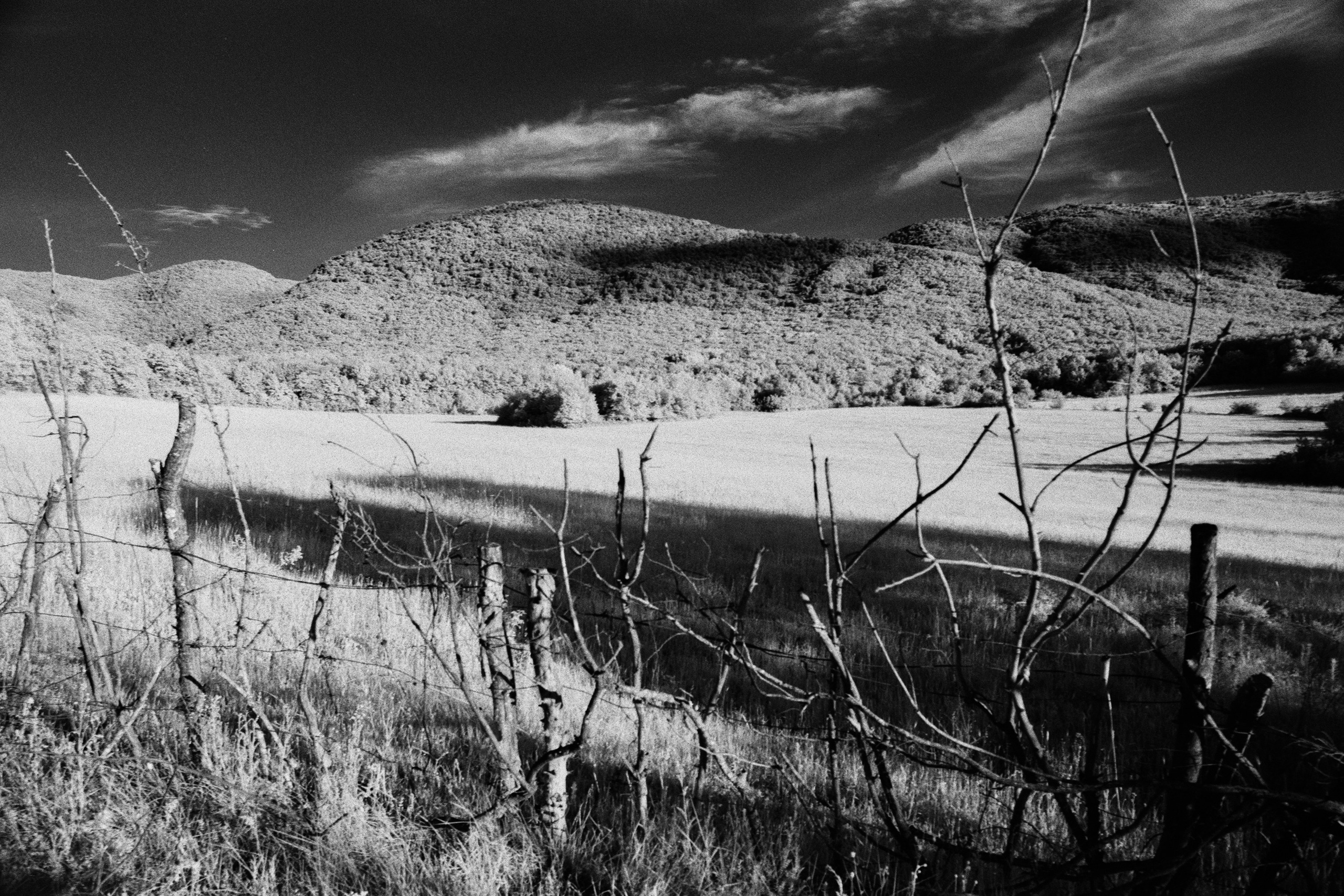 point of no reply // ukraine, crimea VII