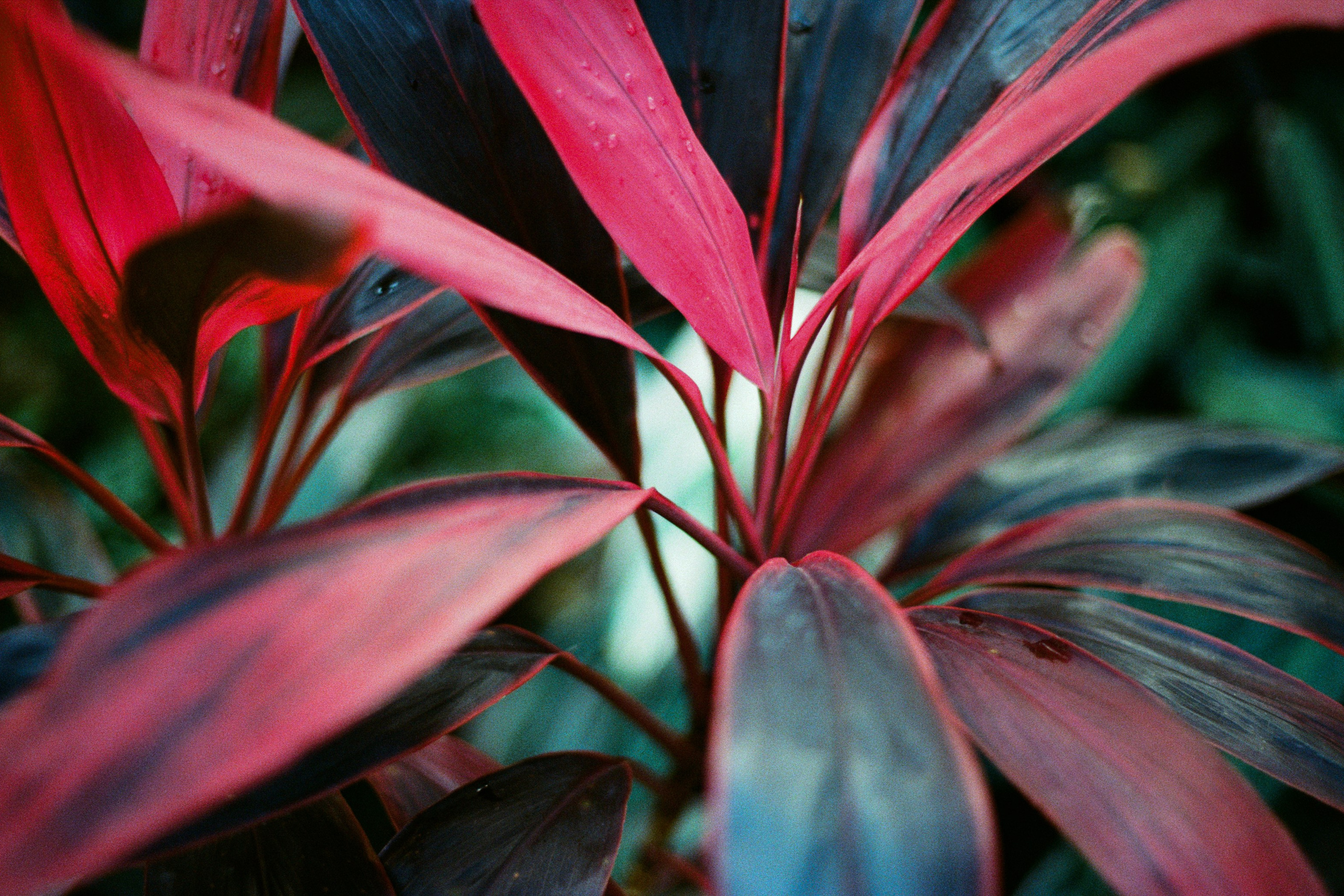 fade out // hong kong V