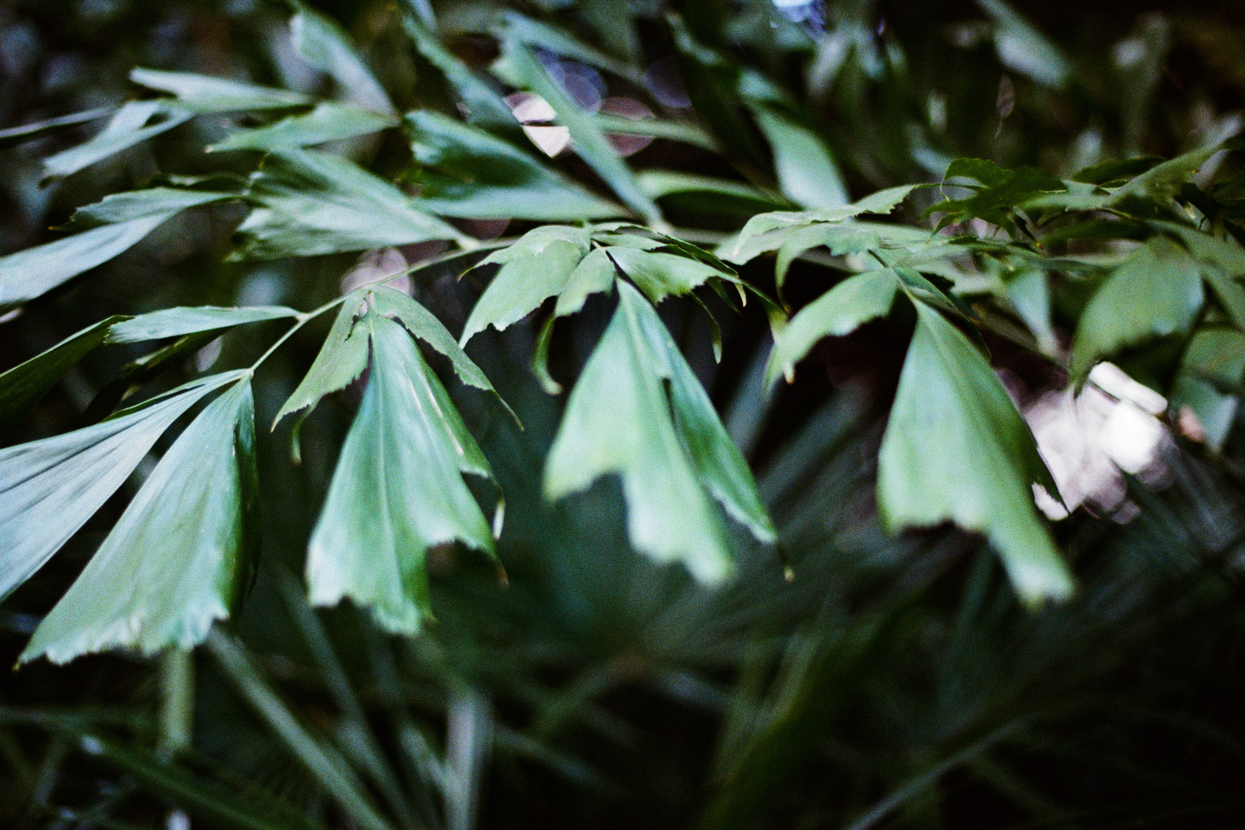 go to sleep // hong kong III