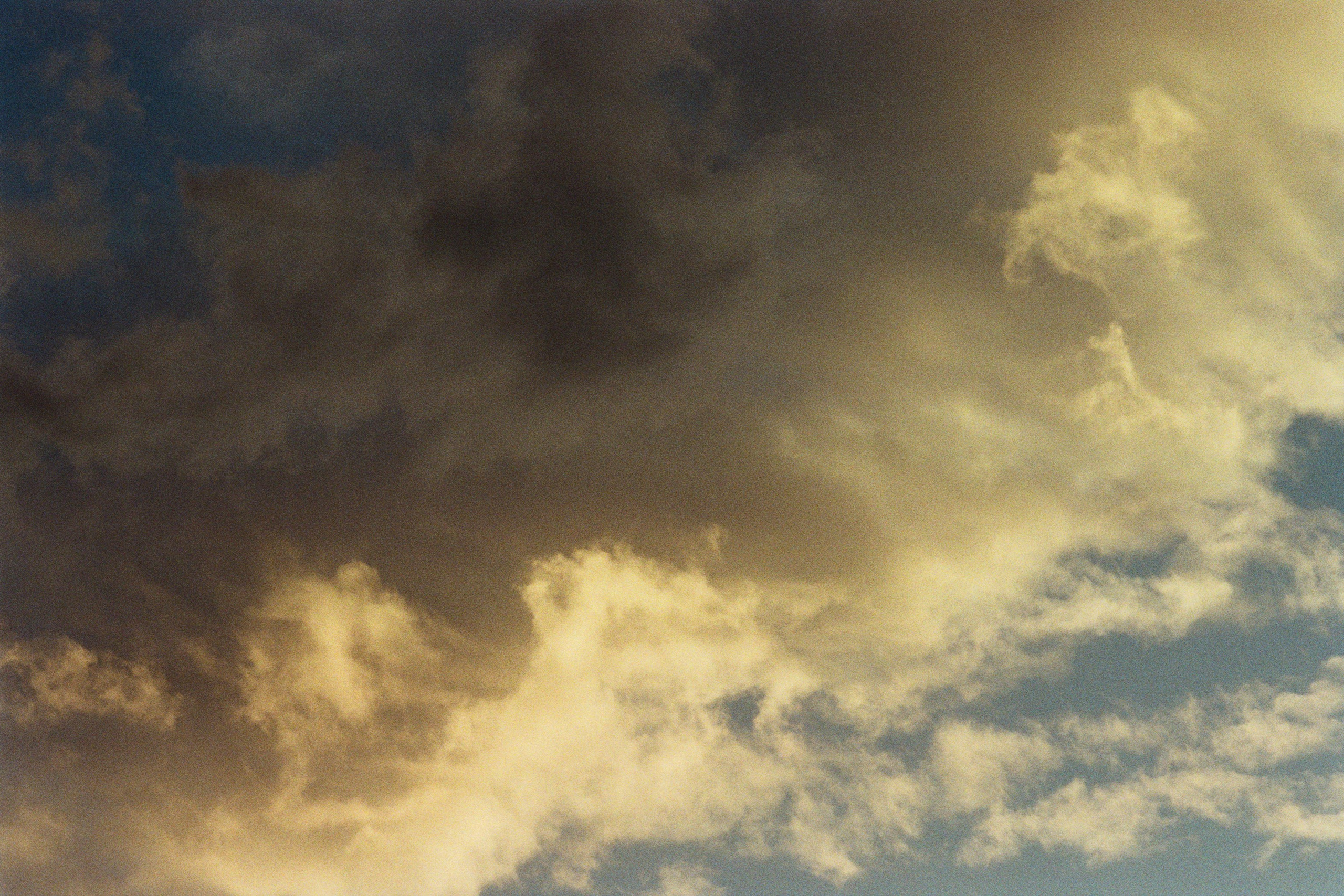 sakura blues // ukraine, crimea II