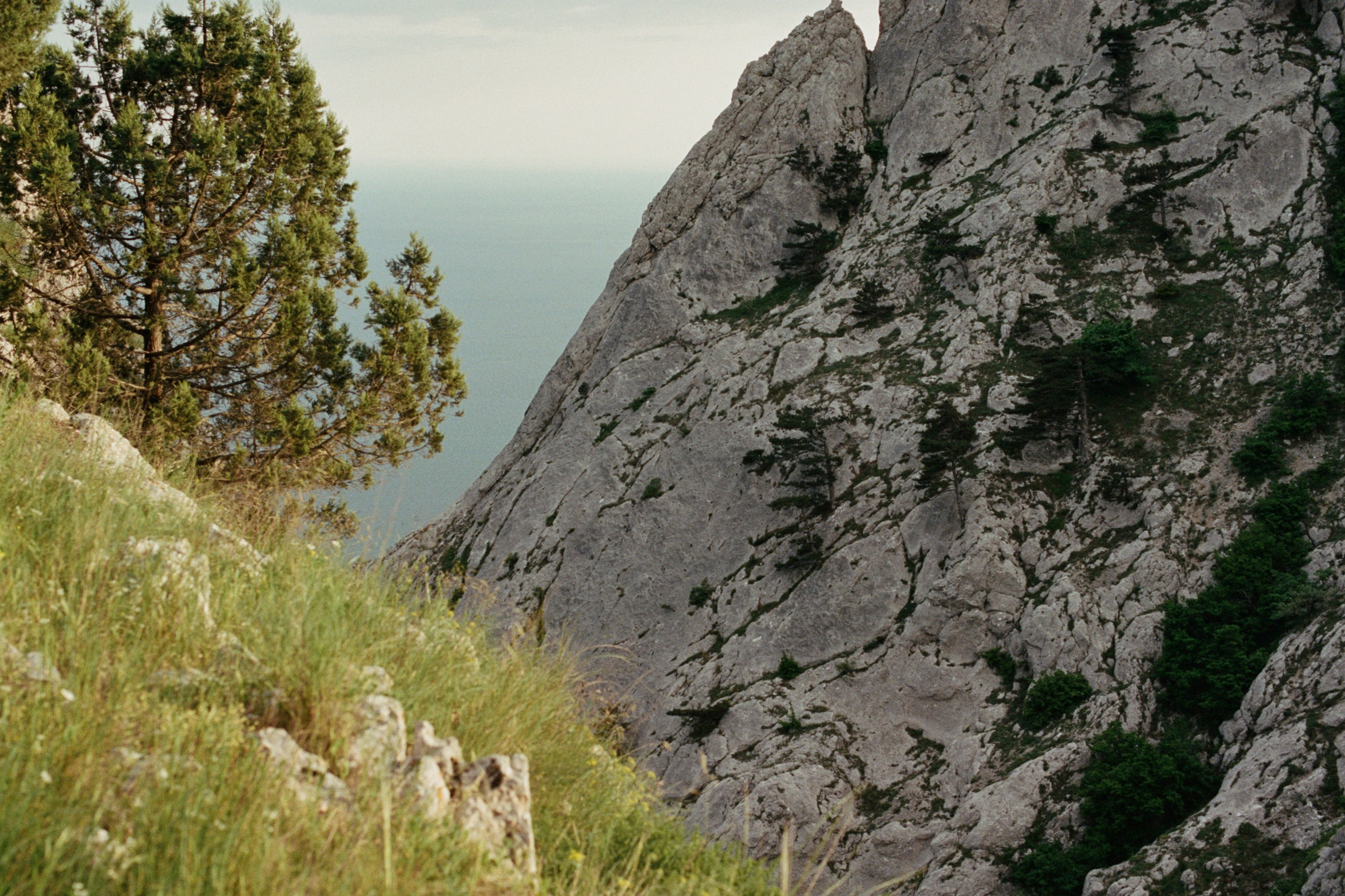 silent running // ukraine, crimea