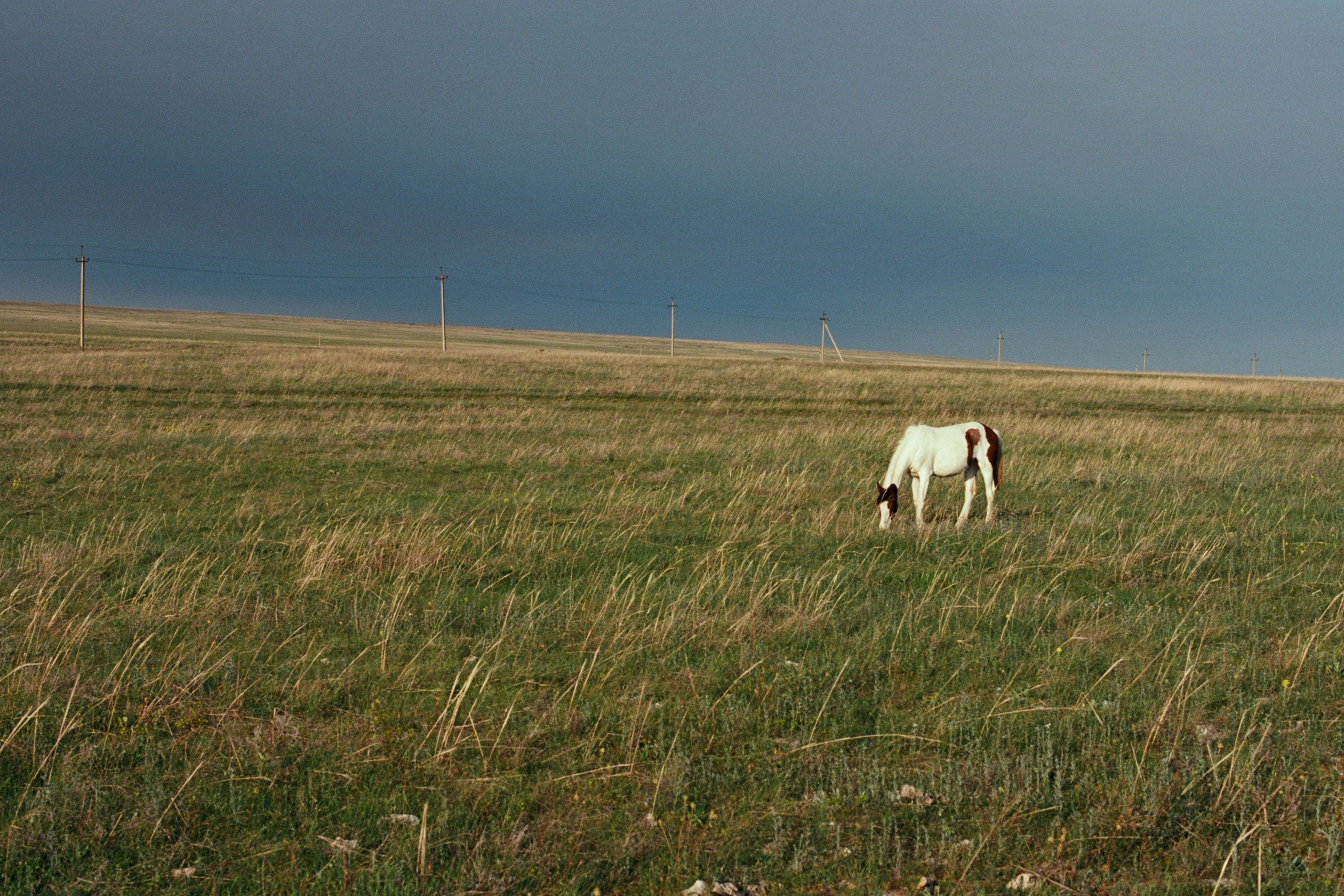 the drugs don't work // ukraine, crimea II