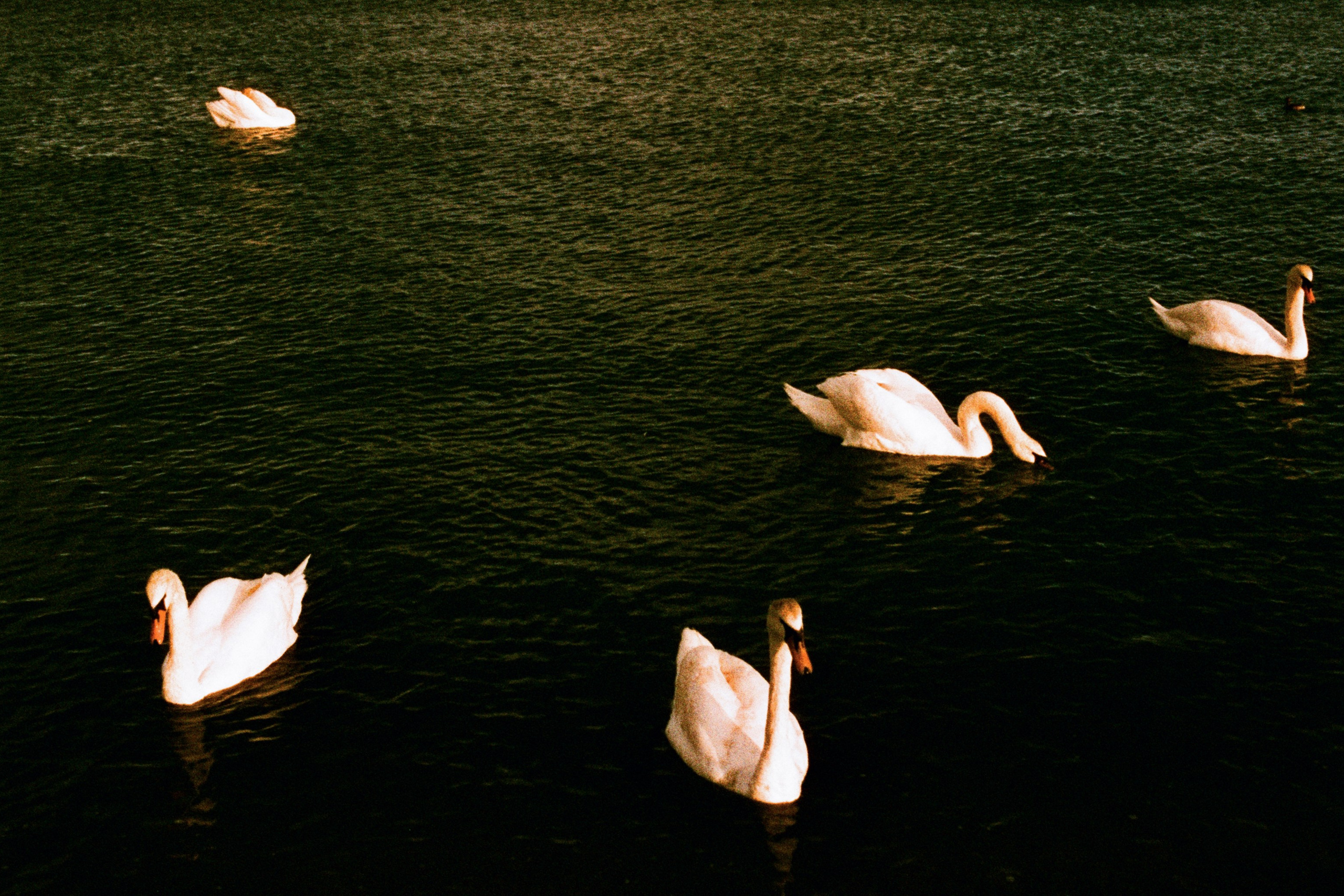 press enter to exit // ukraine, crimea II