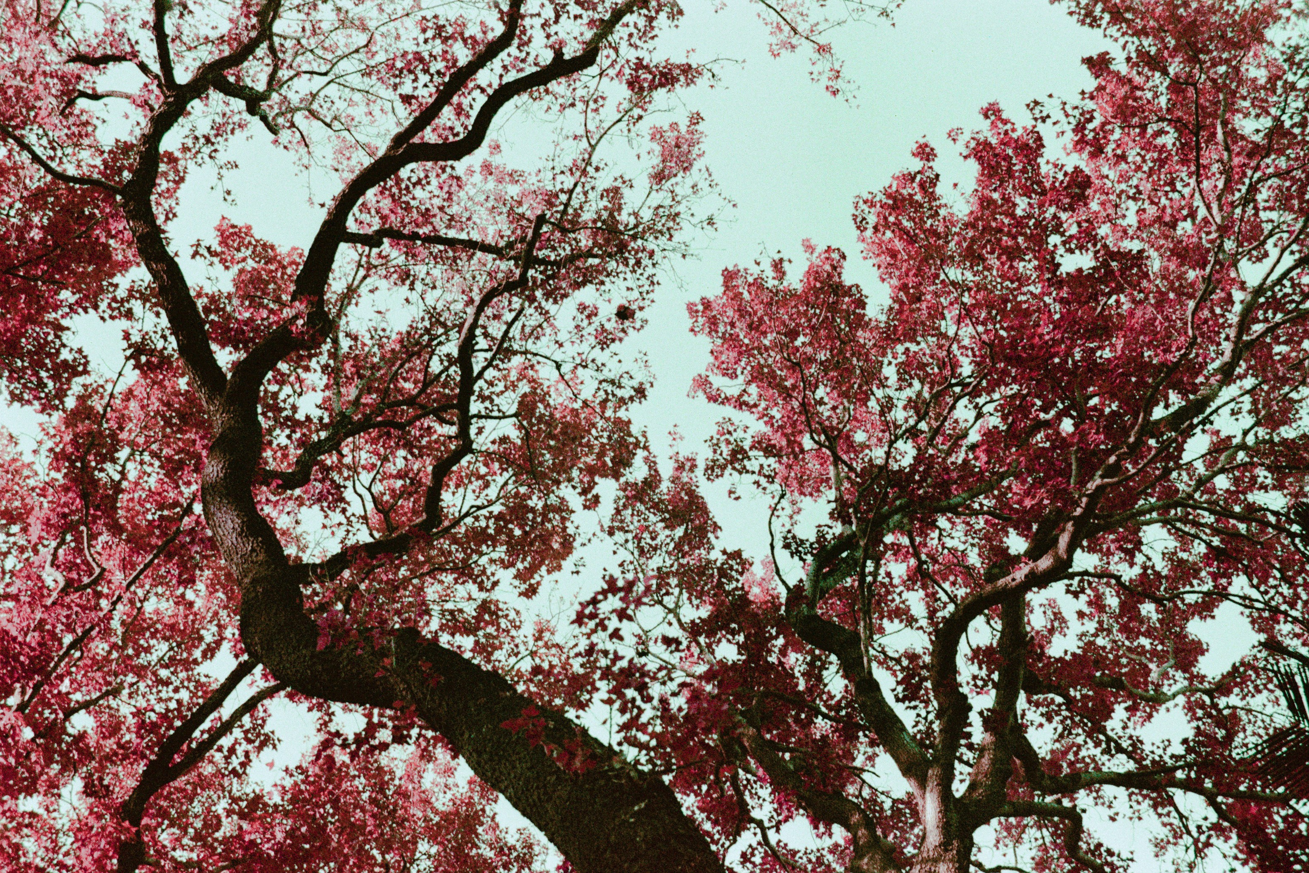 climbing up the walls // hong kong