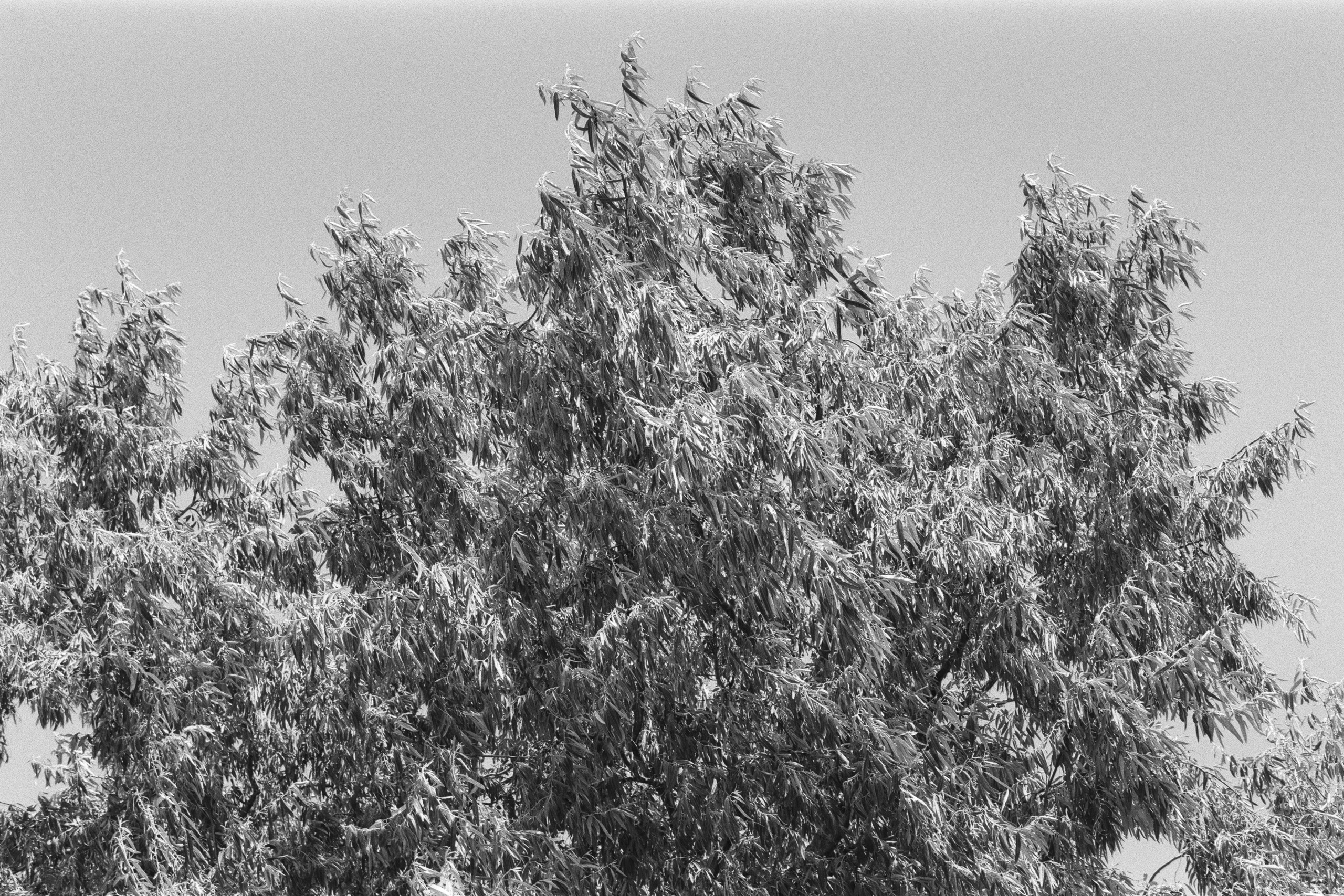 move me // ukraine, crimea IV