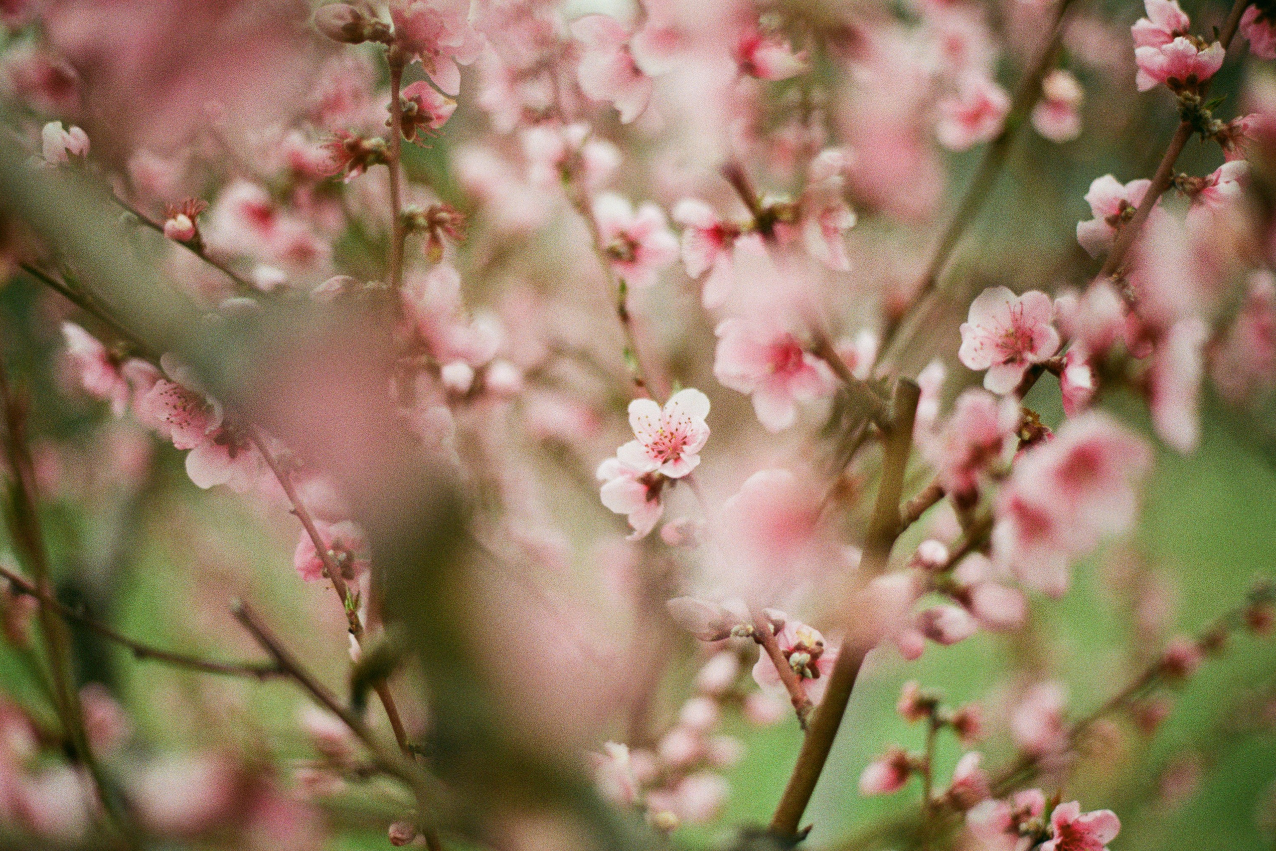 some kind of madness // ukraine, crimea IV