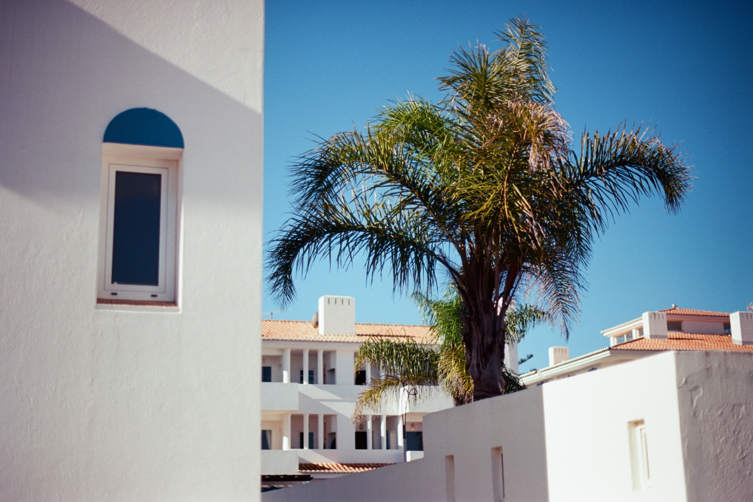 i think i'm ok // portugal, lagos