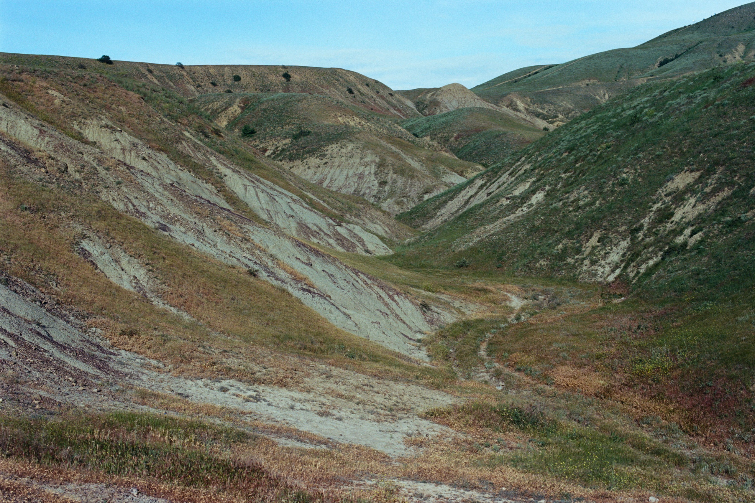 kool-aid // ukraine, crimea IV