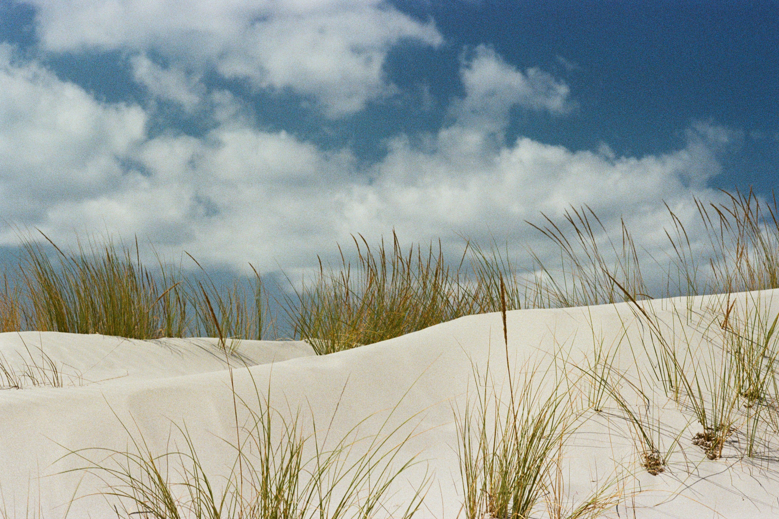 coraline // sardinia, is arenas biancas II