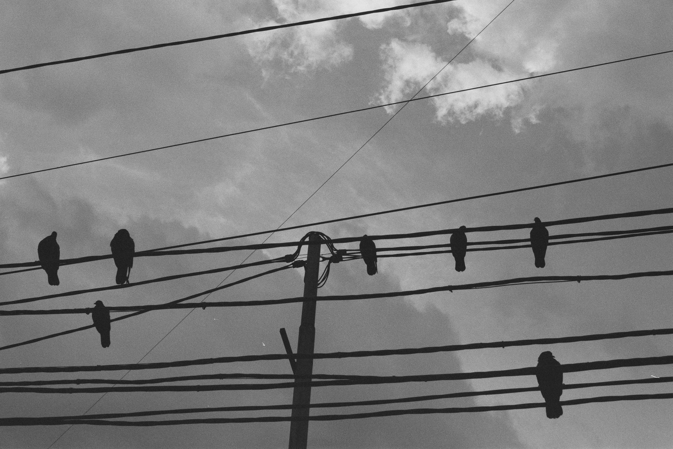 plastinki // ukraine, crimea IV