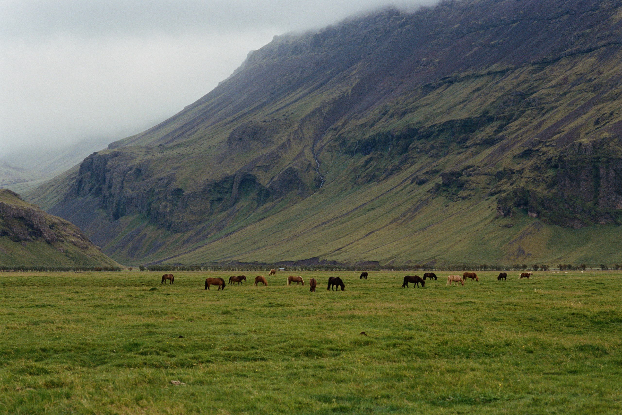 human // iceland, dyrhólaey