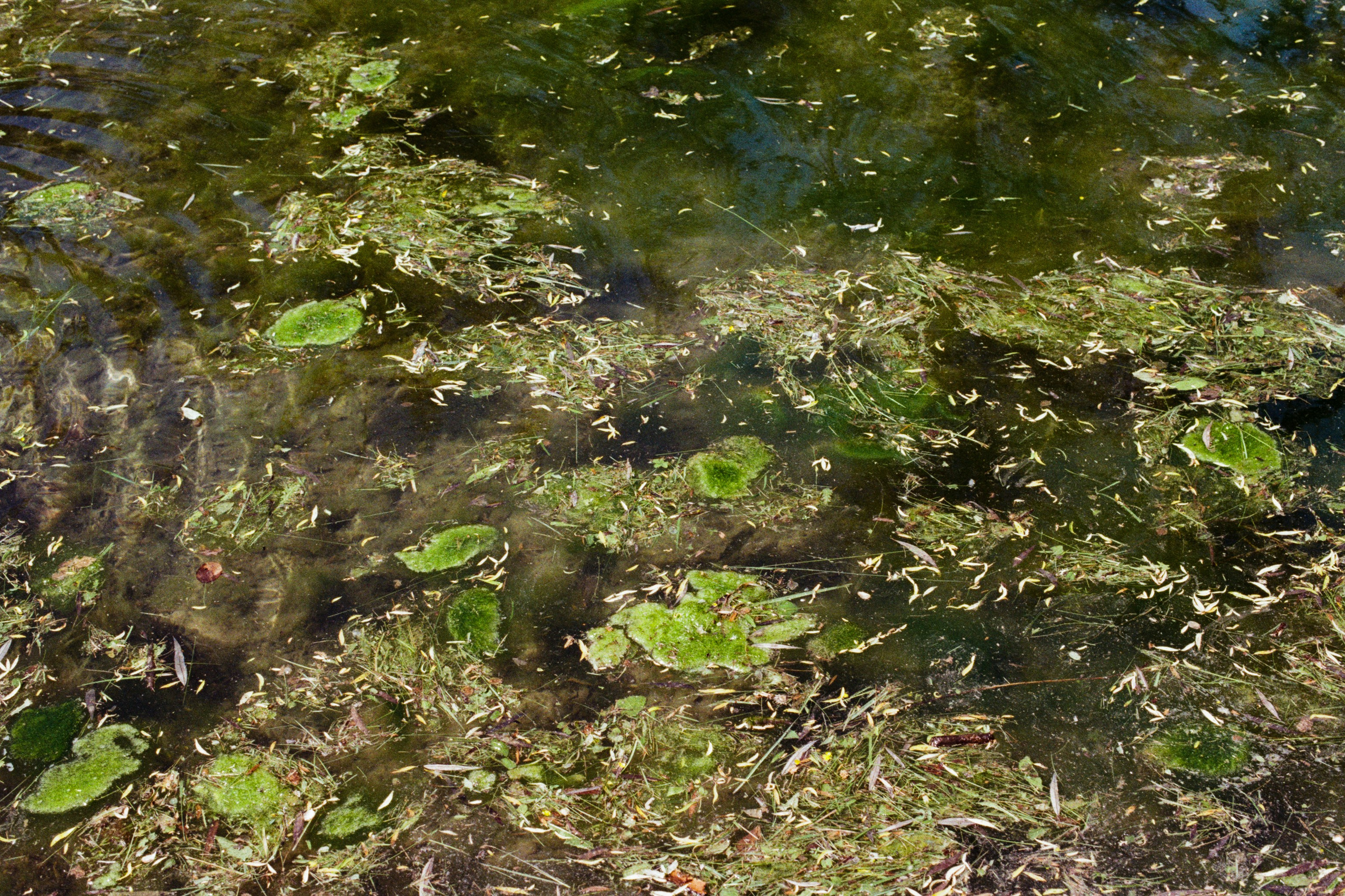 point of no reply // ukraine, crimea