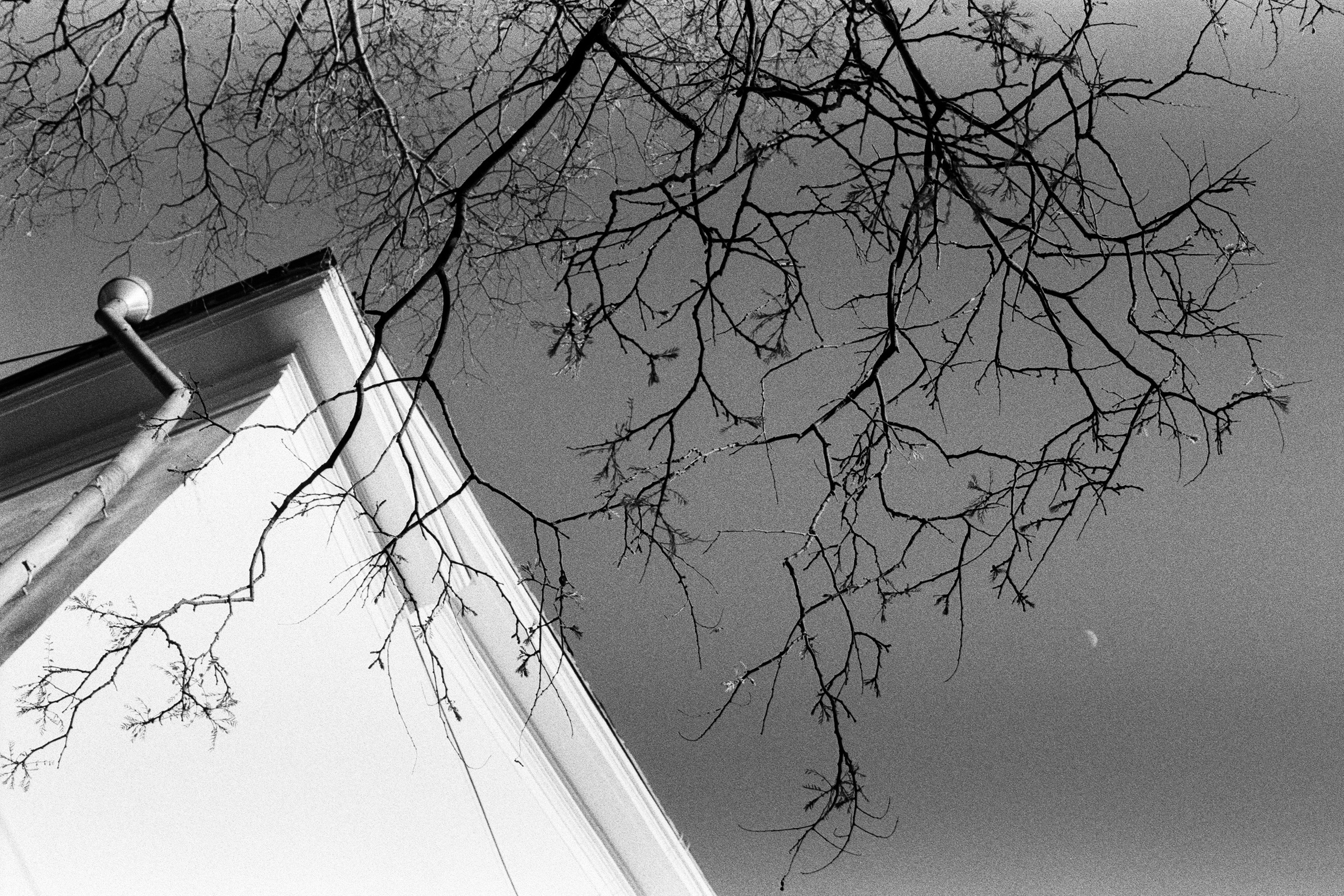 oblomki chuvstv // ukraine, crimea V